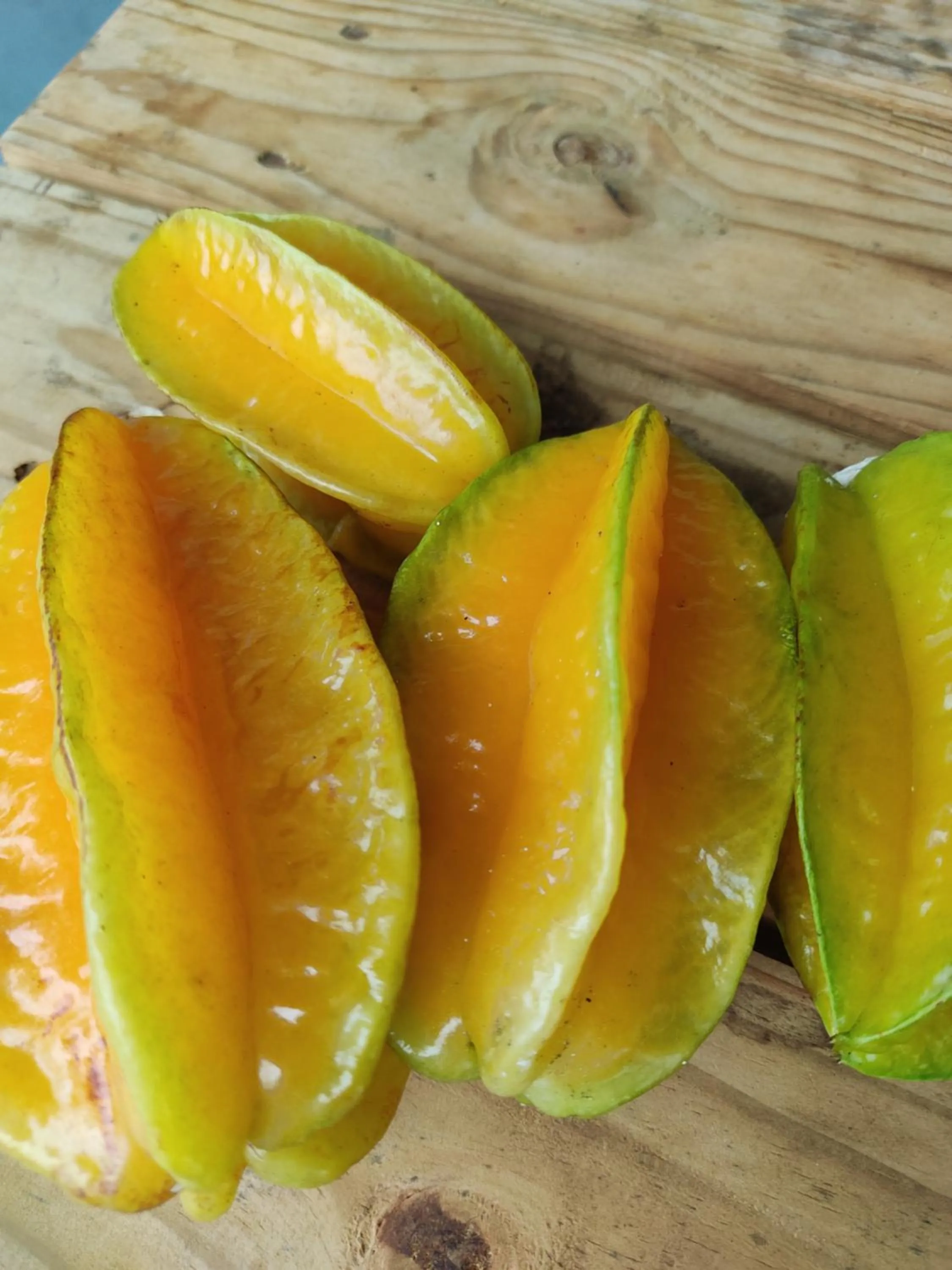 Garden in Kanasuk Self catering Apartments