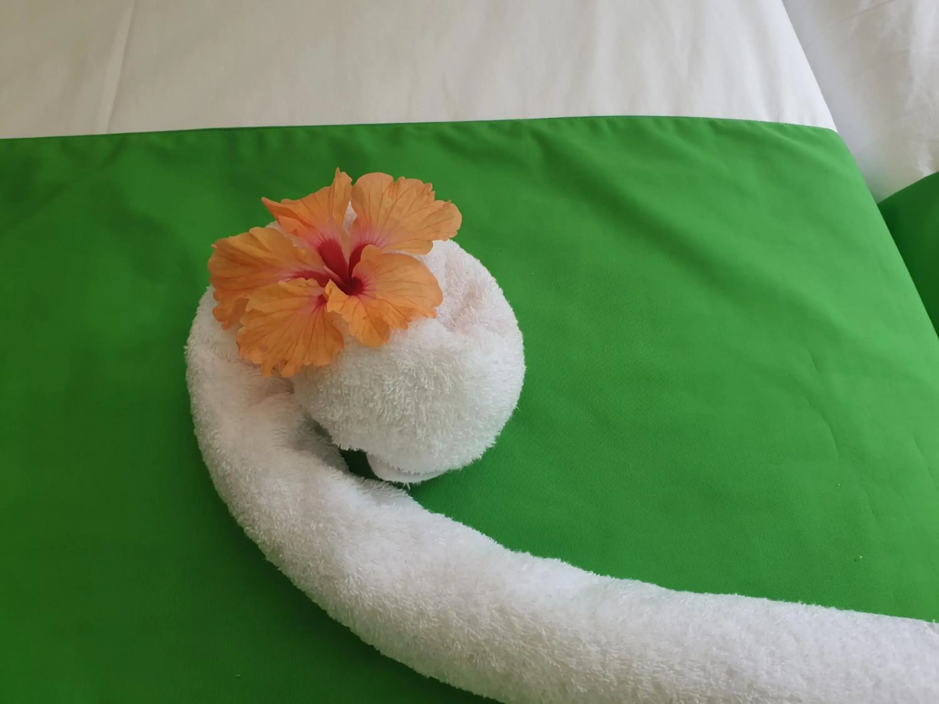 Bed in Kanasuk Self catering Apartments Bed in Kanasuk Self catering Apartments