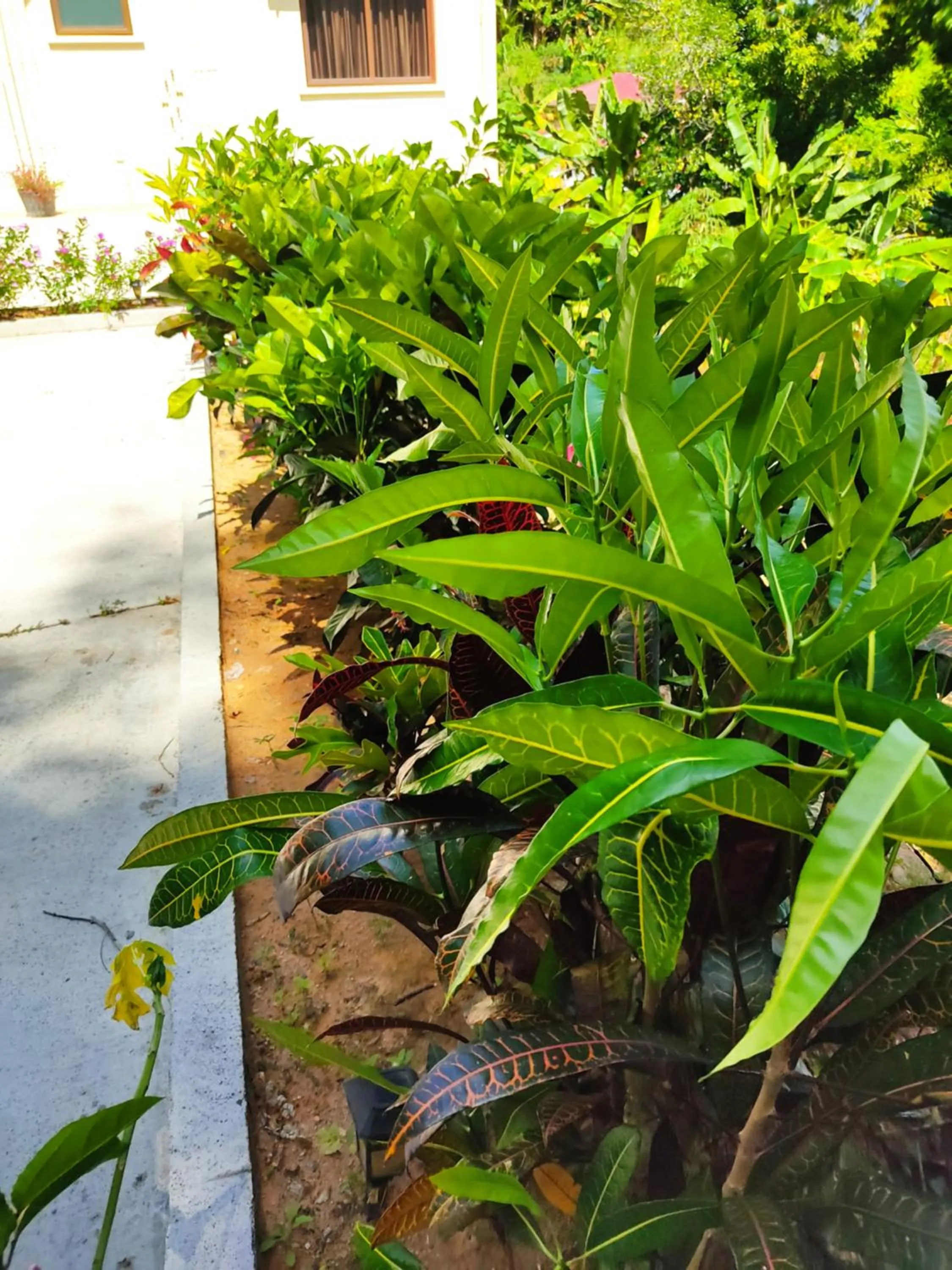 Garden in Kanasuk Self catering Apartments