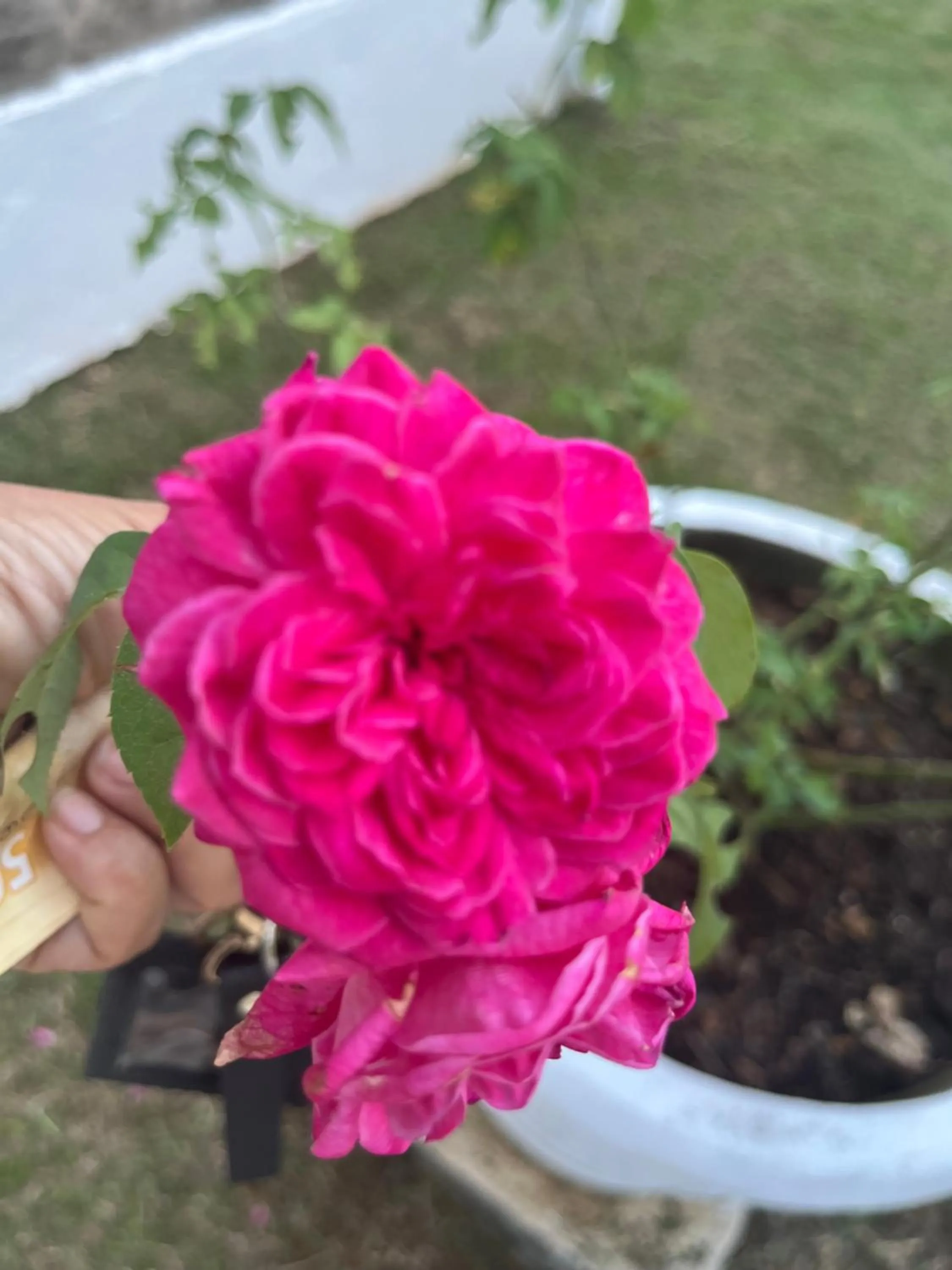 Garden in Kanasuk Self catering Apartments