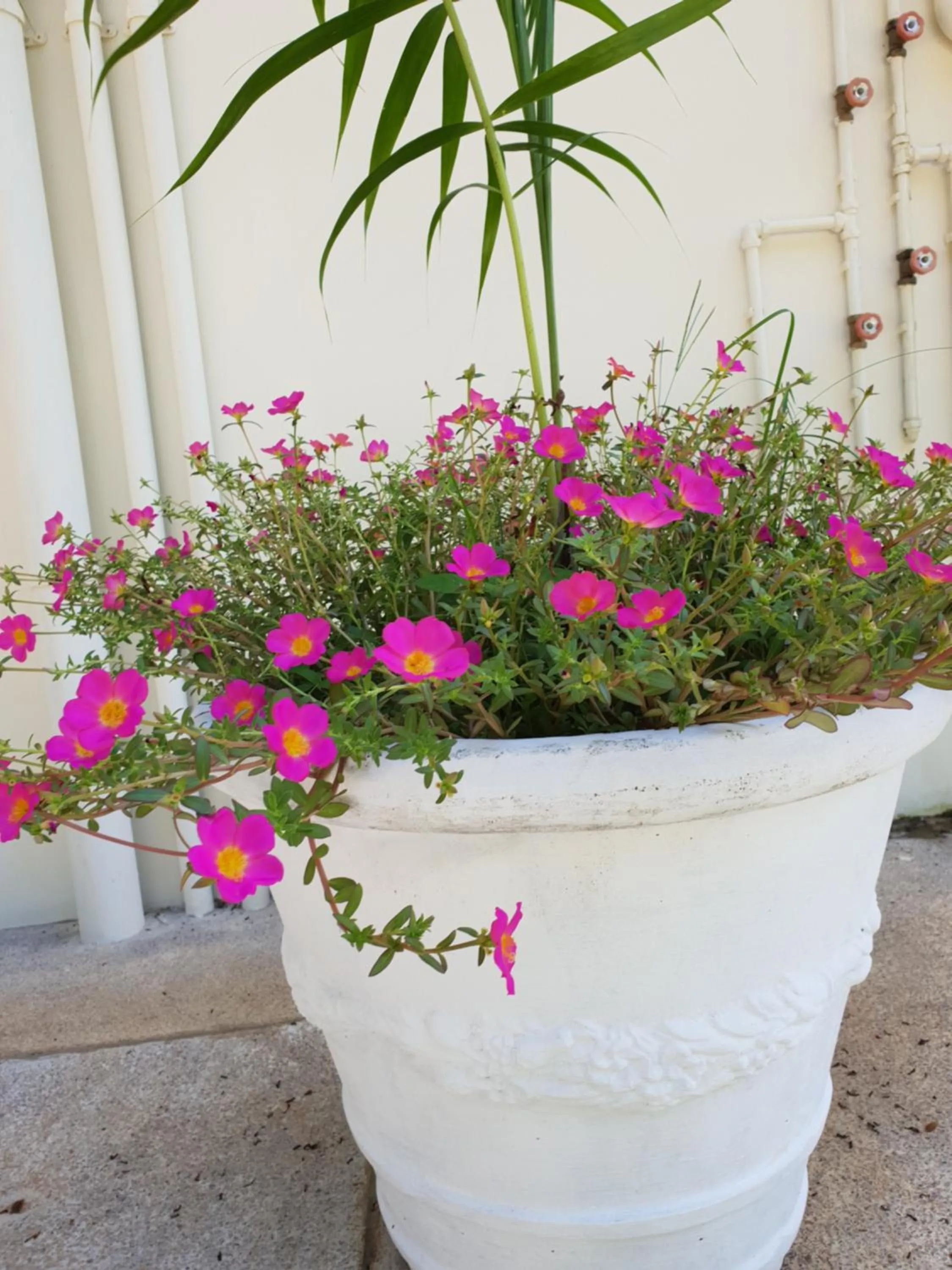 Other in Kanasuk Self catering Apartments