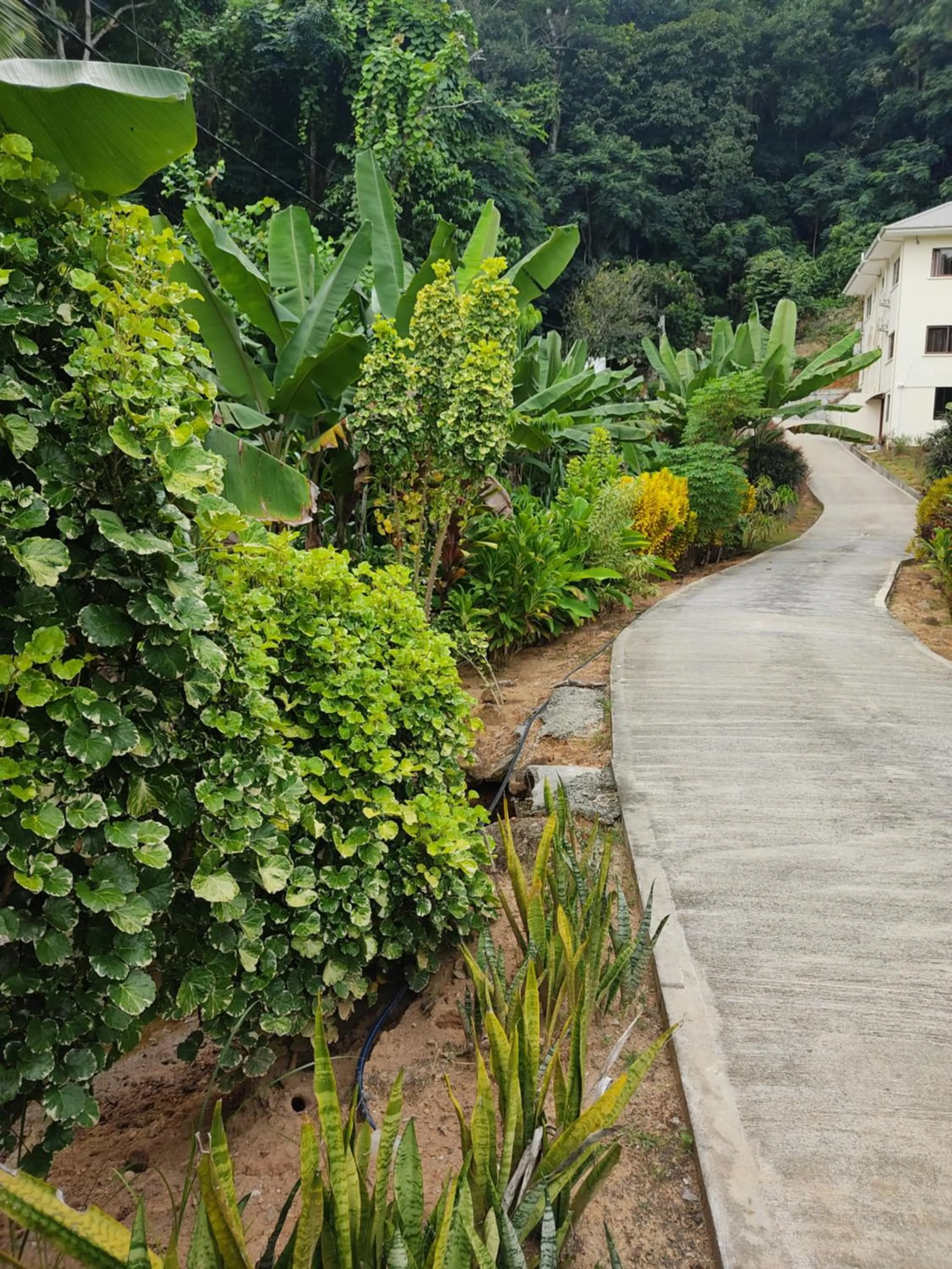 Natural landscape in Kanasuk Self catering Apartments