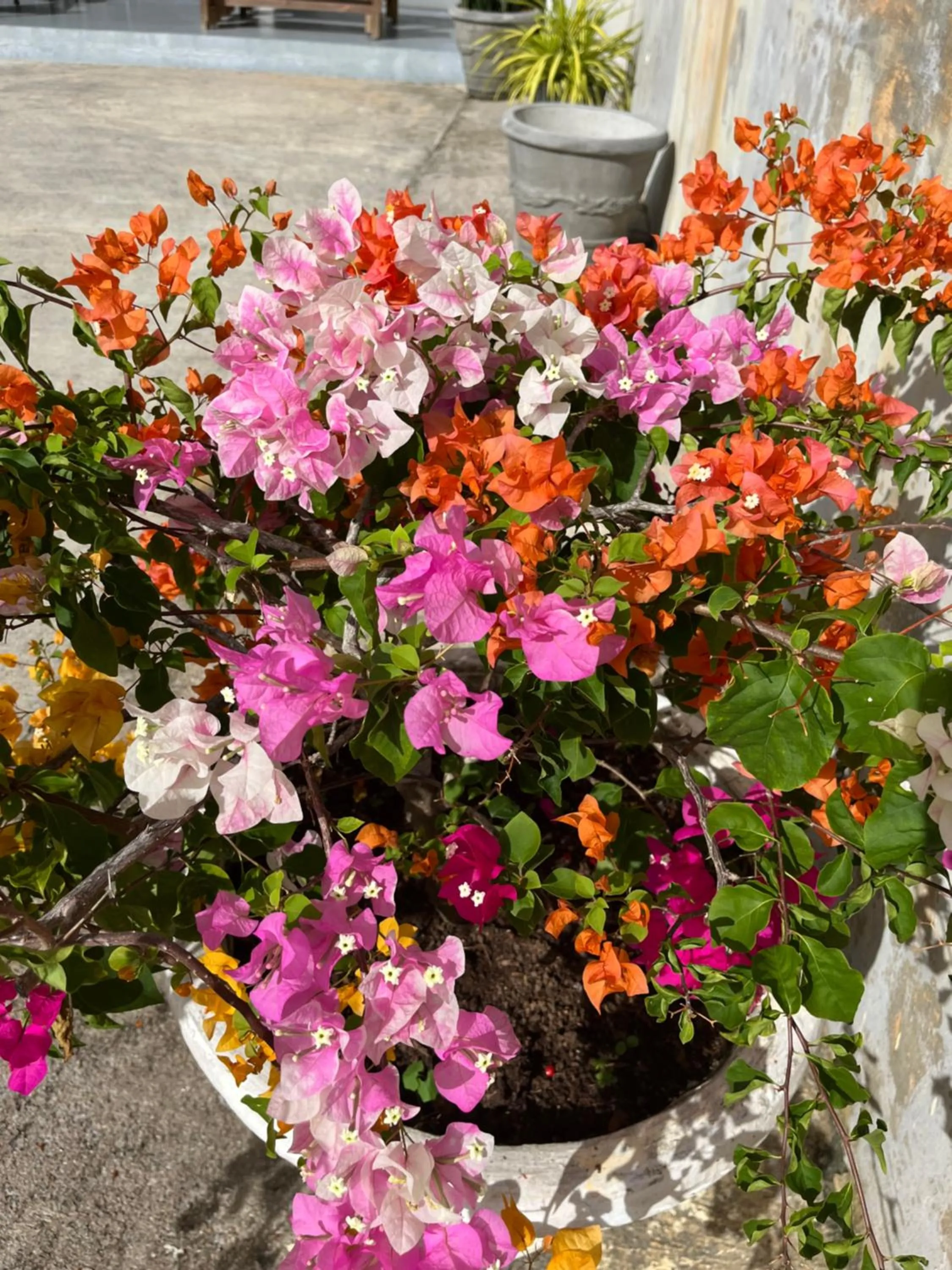 Day in Kanasuk Self catering Apartments