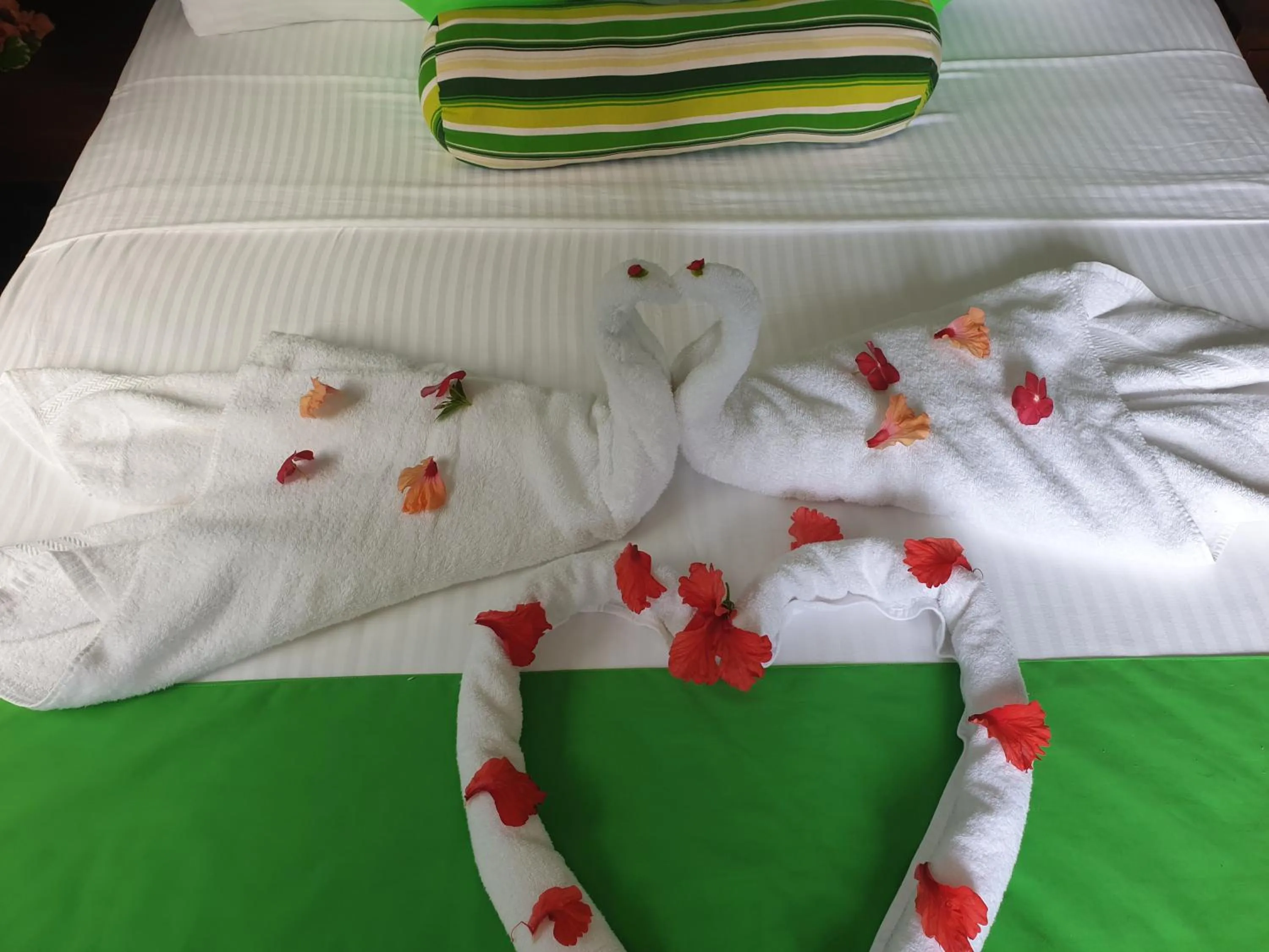 Bed in Kanasuk Self catering Apartments