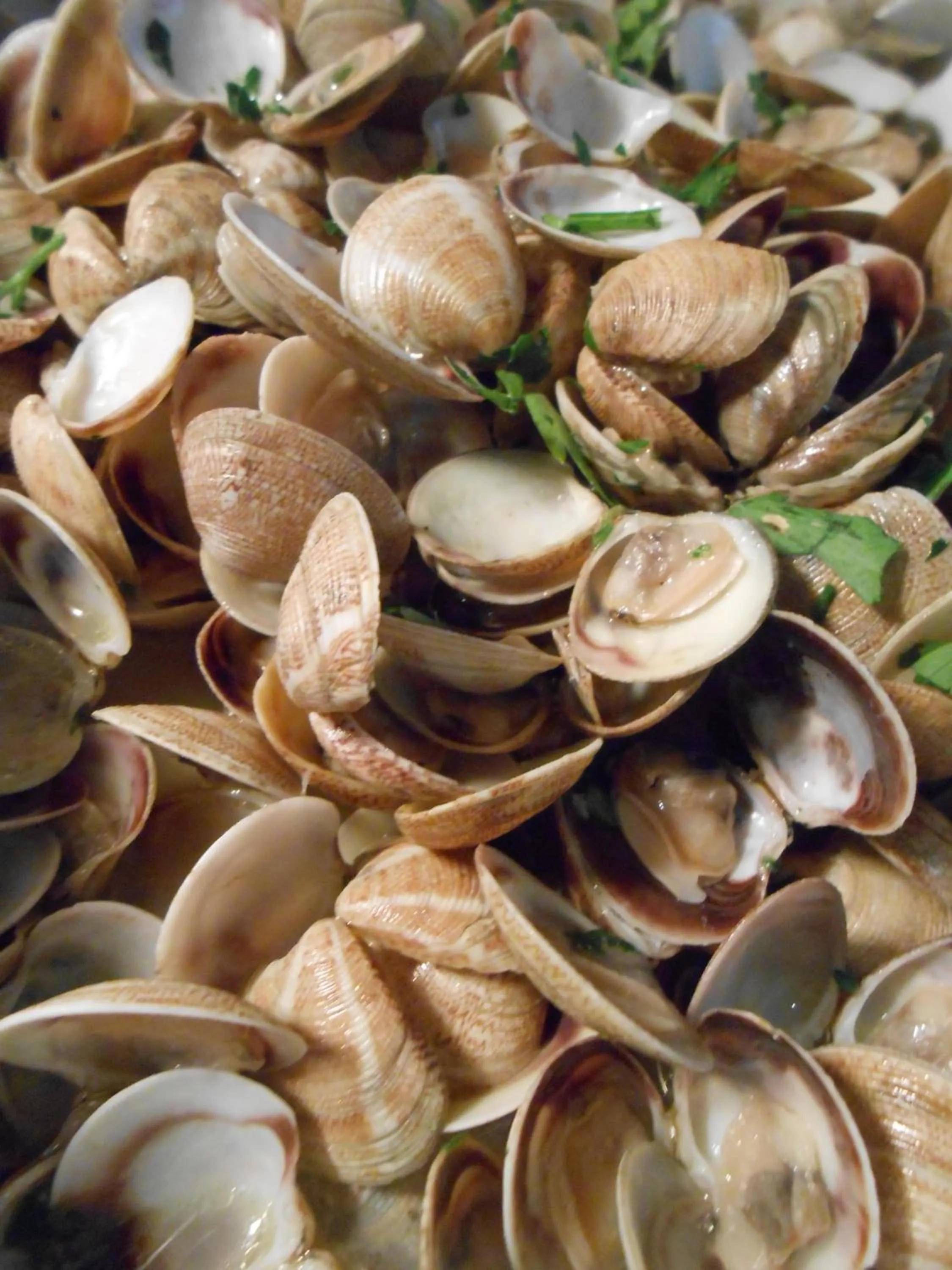 Food and drinks in Hotel Bristol