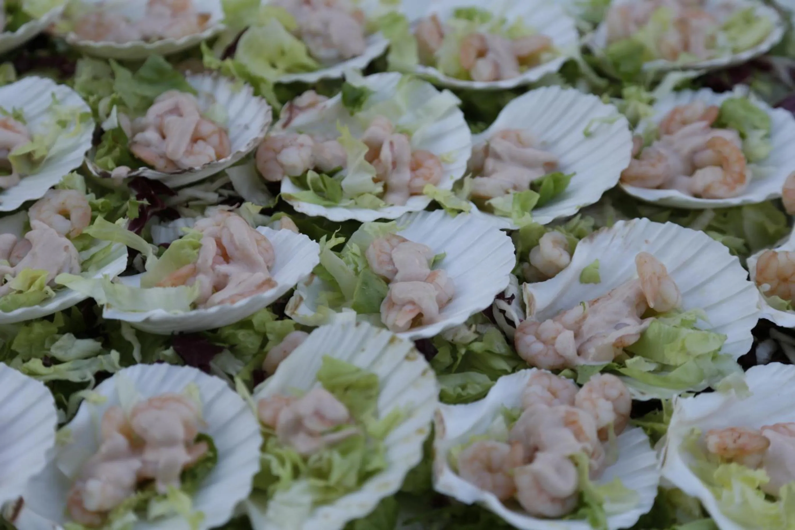 Food and drinks in Hotel Bristol