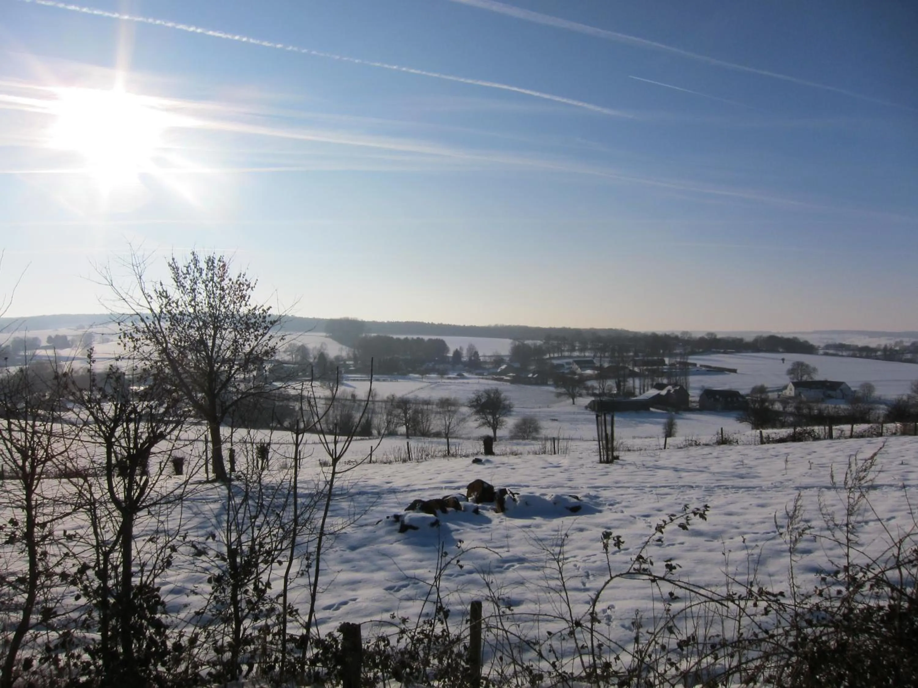 Natural landscape in Hotel Cuba Libre
