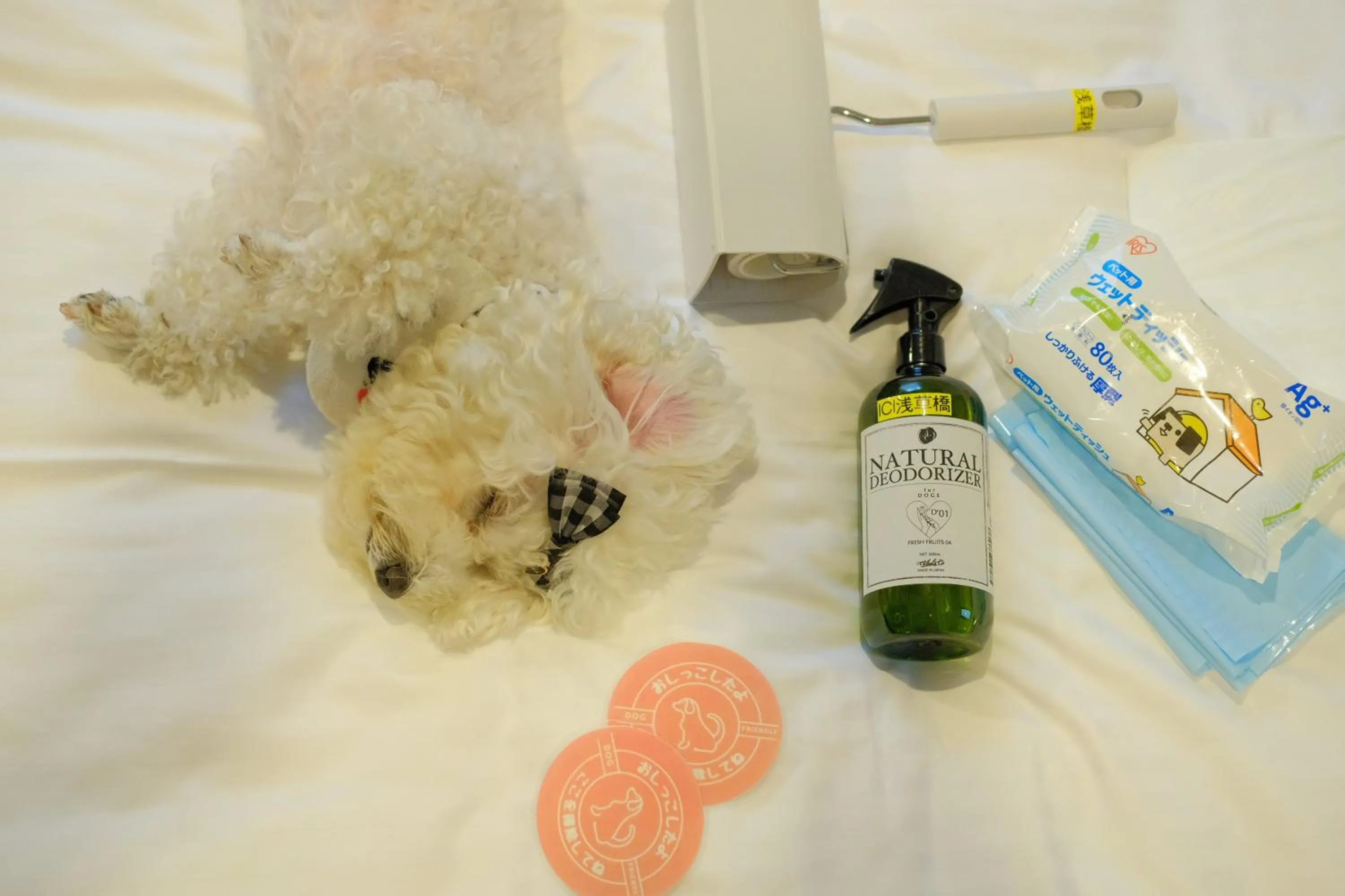 ICI HOTEL Asakusabashi