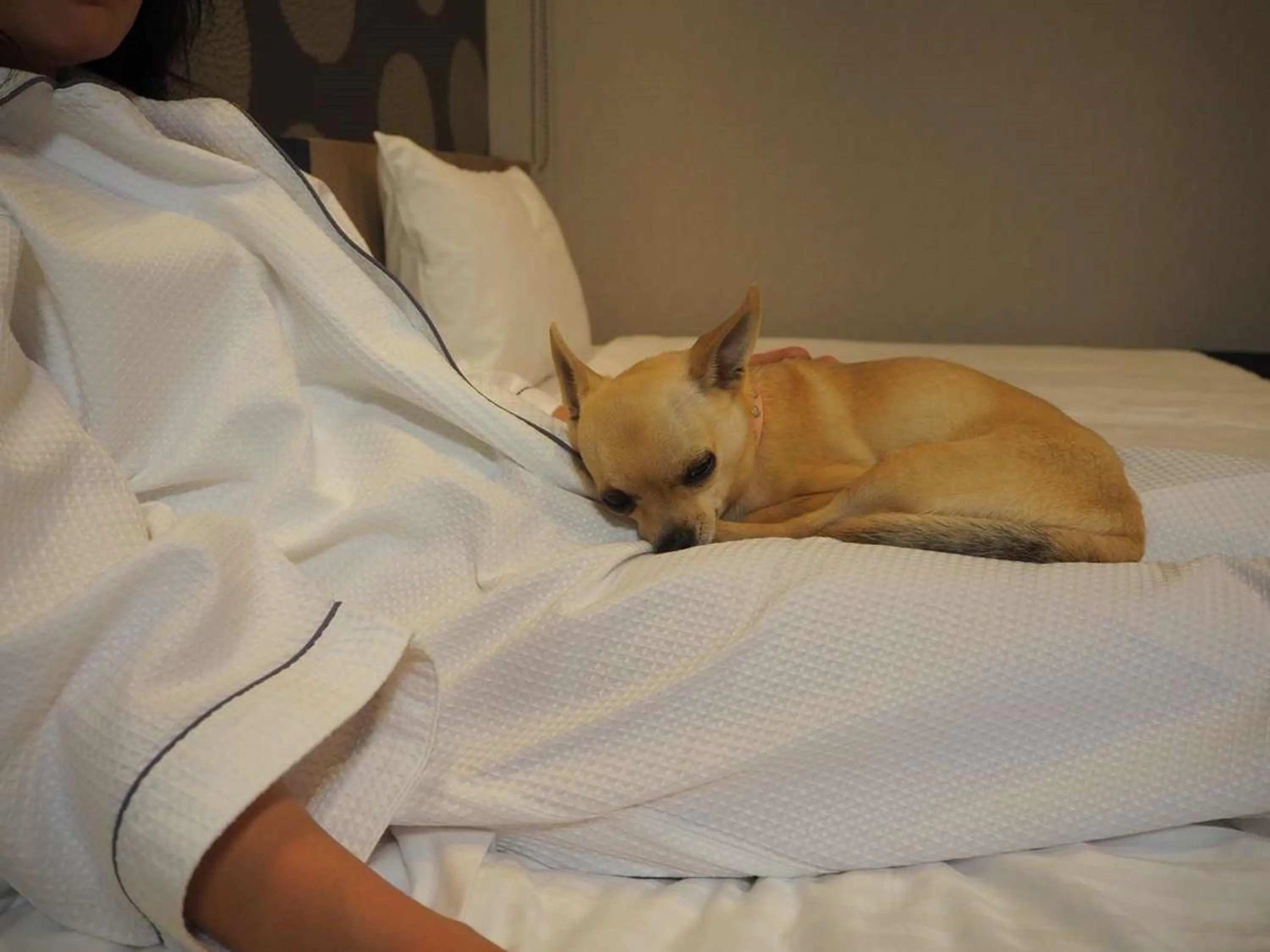 ICI HOTEL Asakusabashi