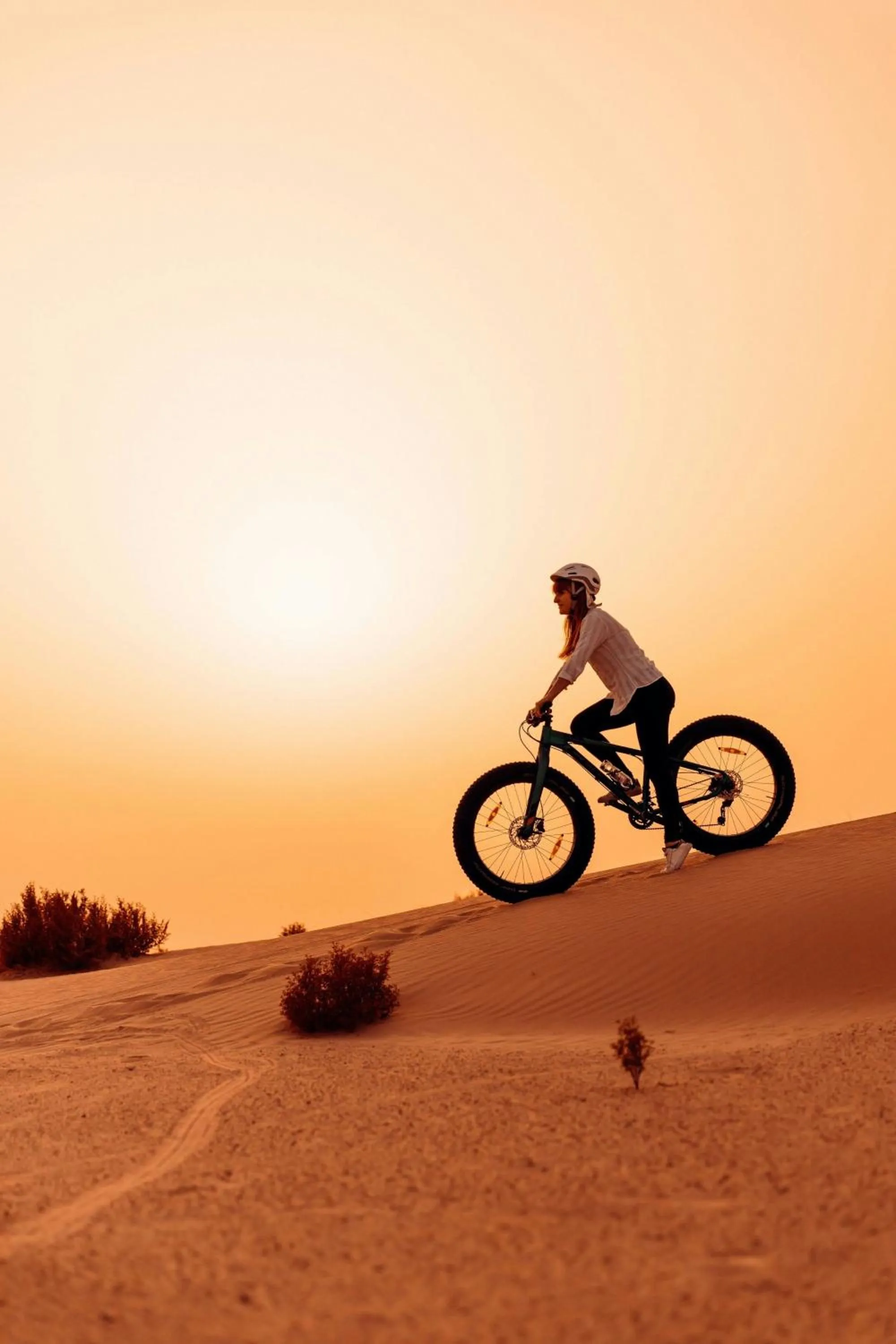 Other in Al Wathba, a Luxury Collection Desert Resort & Spa, Abu Dhabi