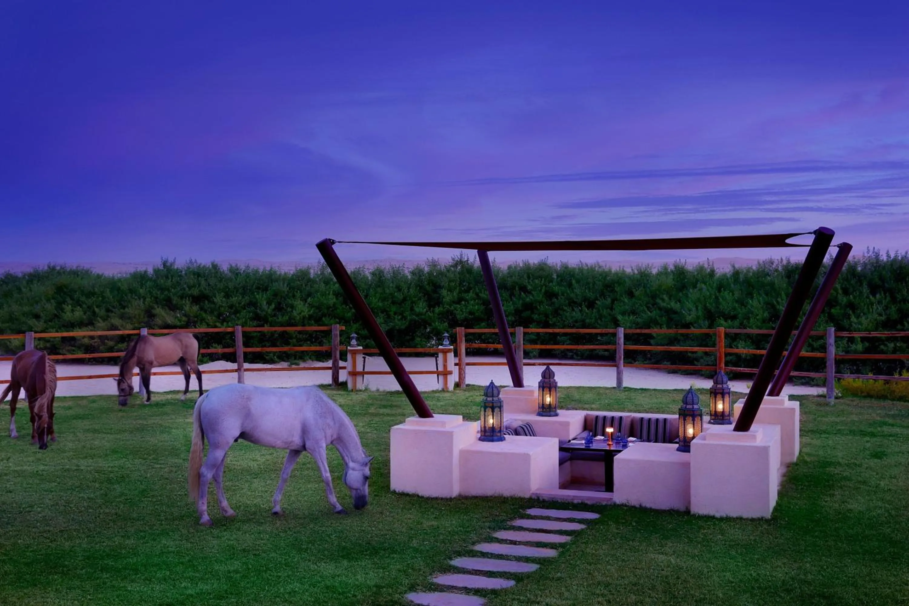 Other in Al Wathba, a Luxury Collection Desert Resort & Spa, Abu Dhabi