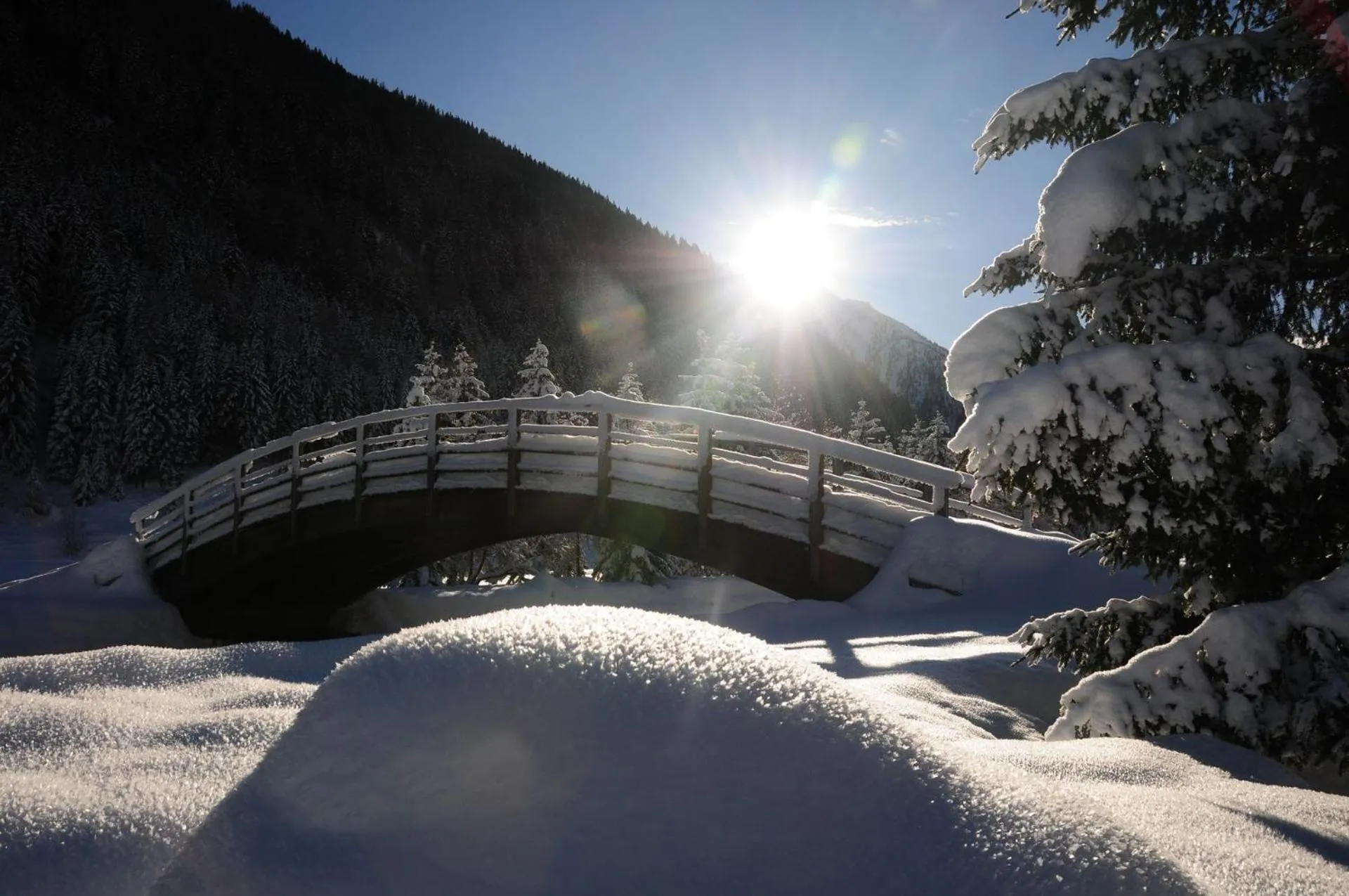 Ski School in Hotel Ristorante Milano