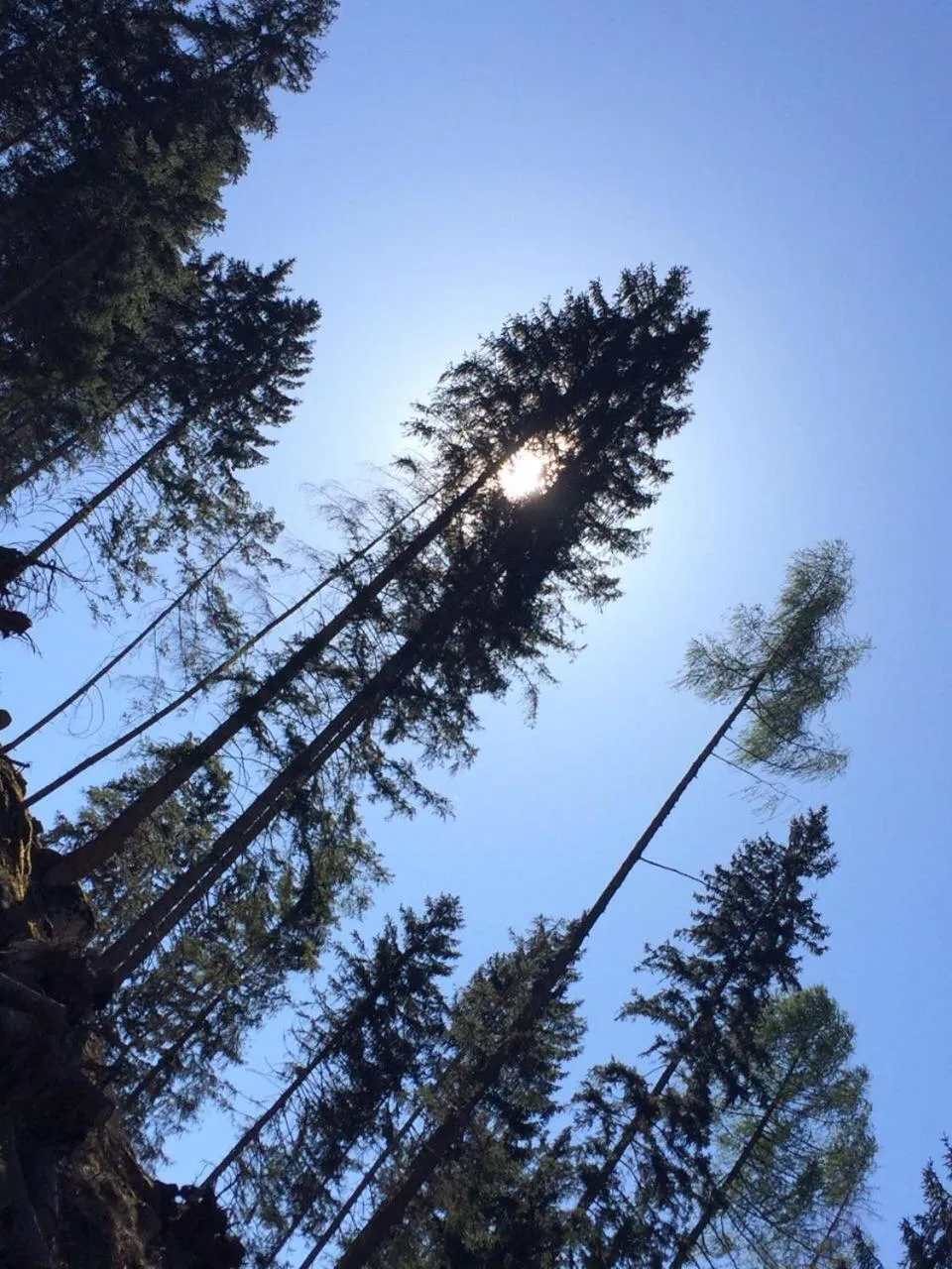Fishing in Hotel Ristorante Milano