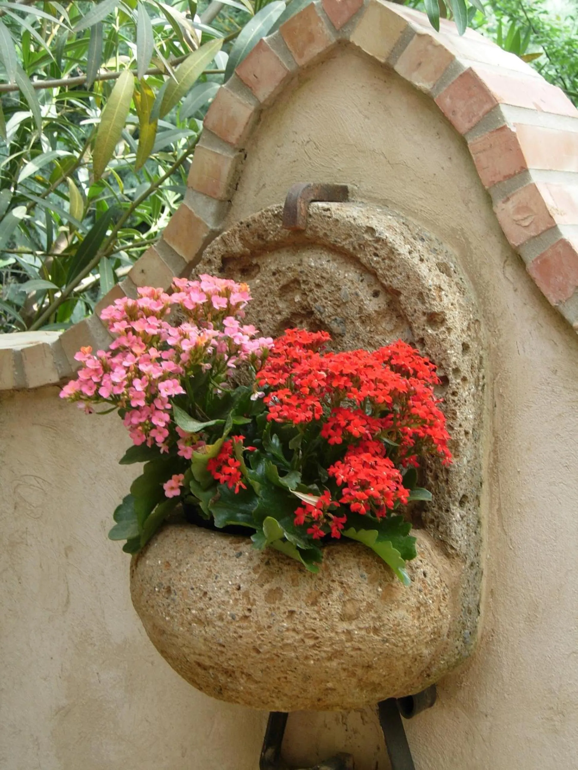 Garden in Villa Clementine