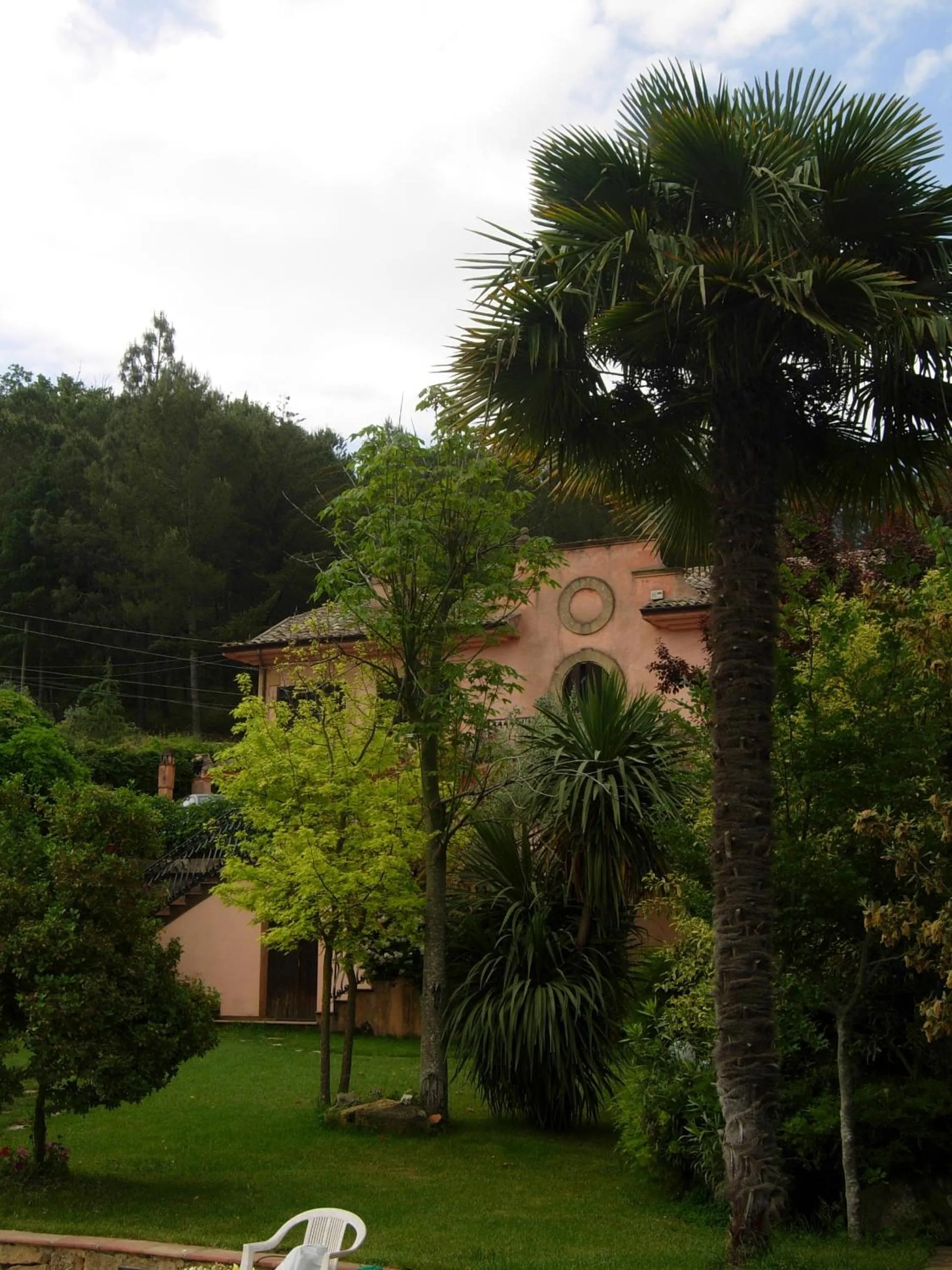 Garden in Villa Clementine