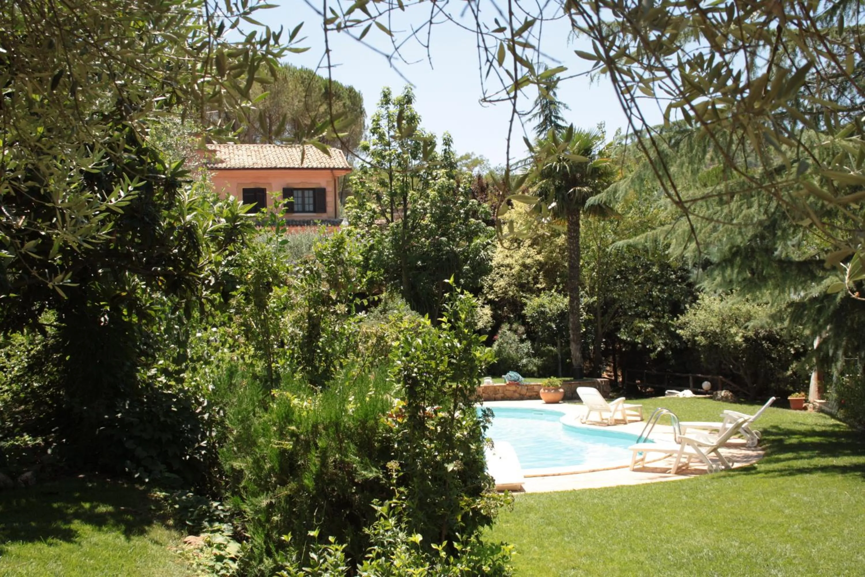 Swimming pool in Villa Clementine