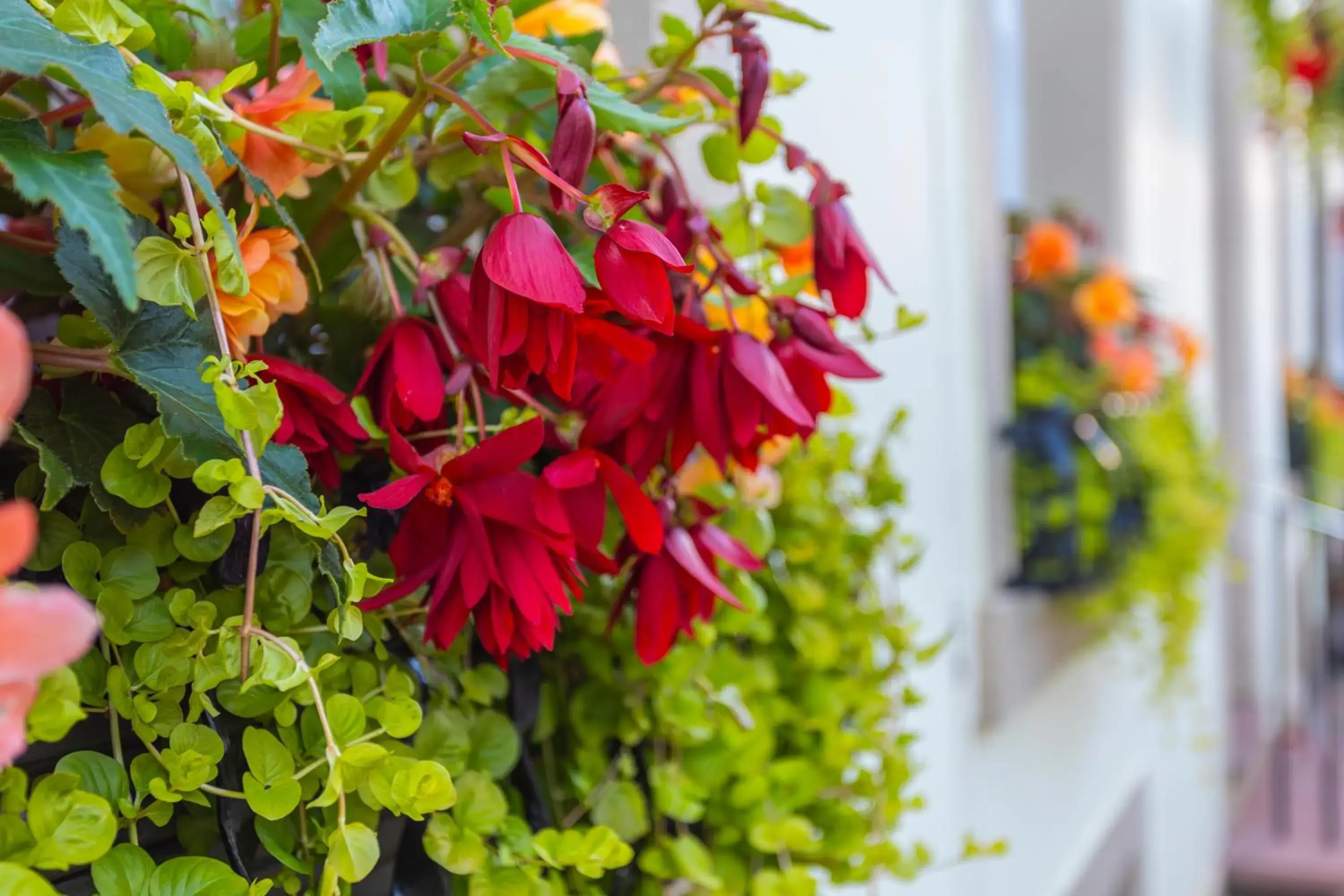 Property building in Georgian House Hotel Property building in Georgian House Hotel