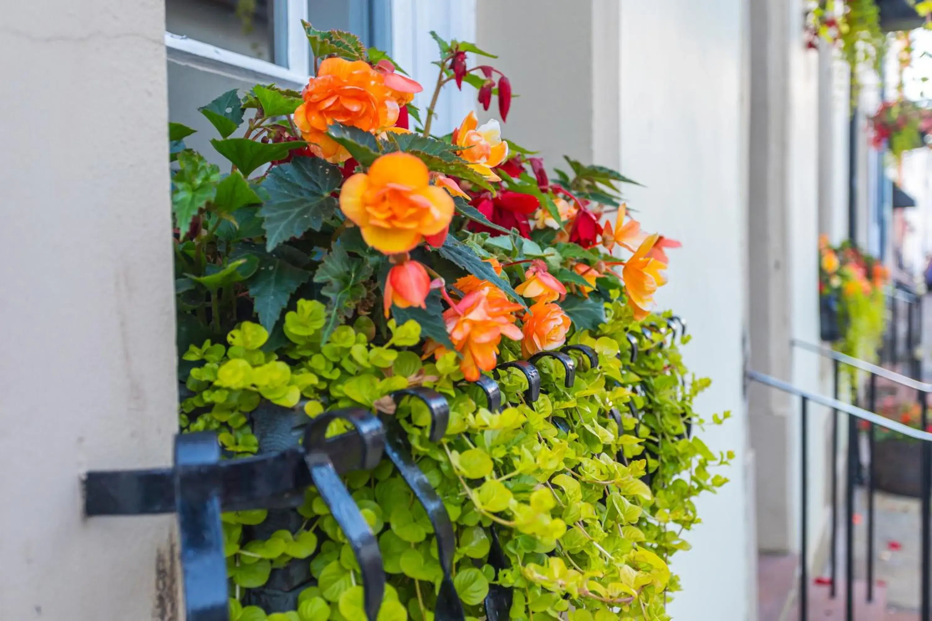 Property building in Georgian House Hotel Property building in Georgian House Hotel