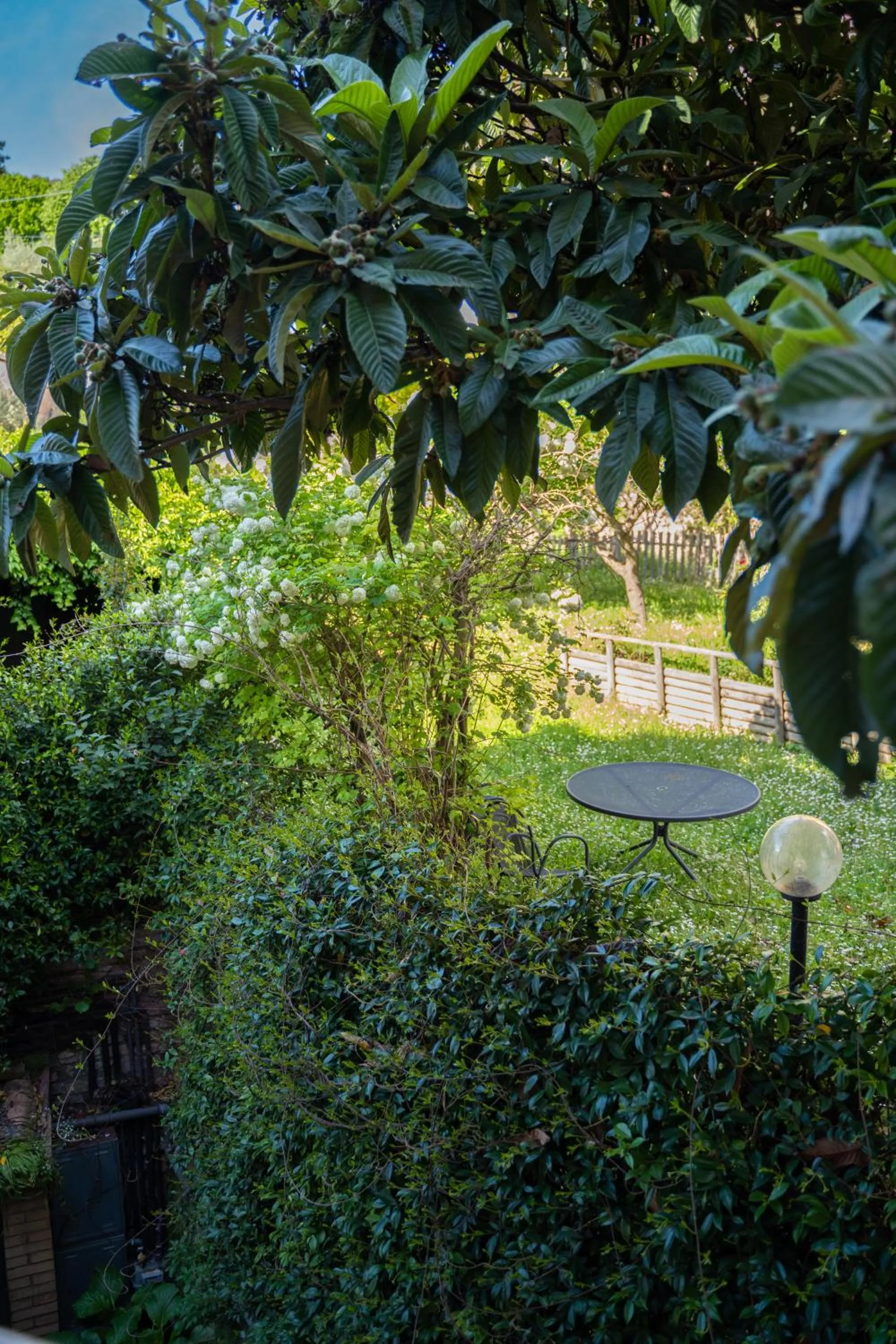 Garden view in Hotel Belvedere