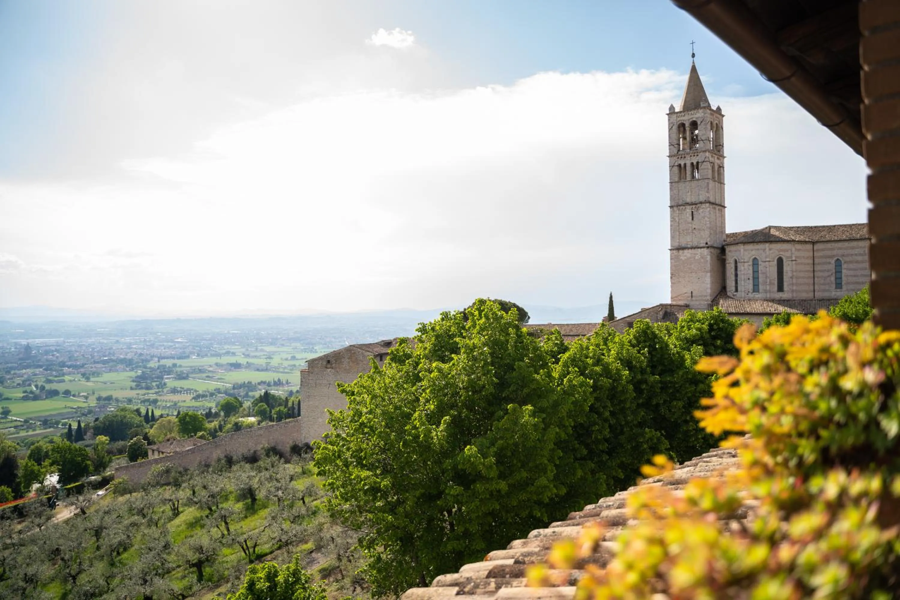 View (from property/room) in Hotel Belvedere