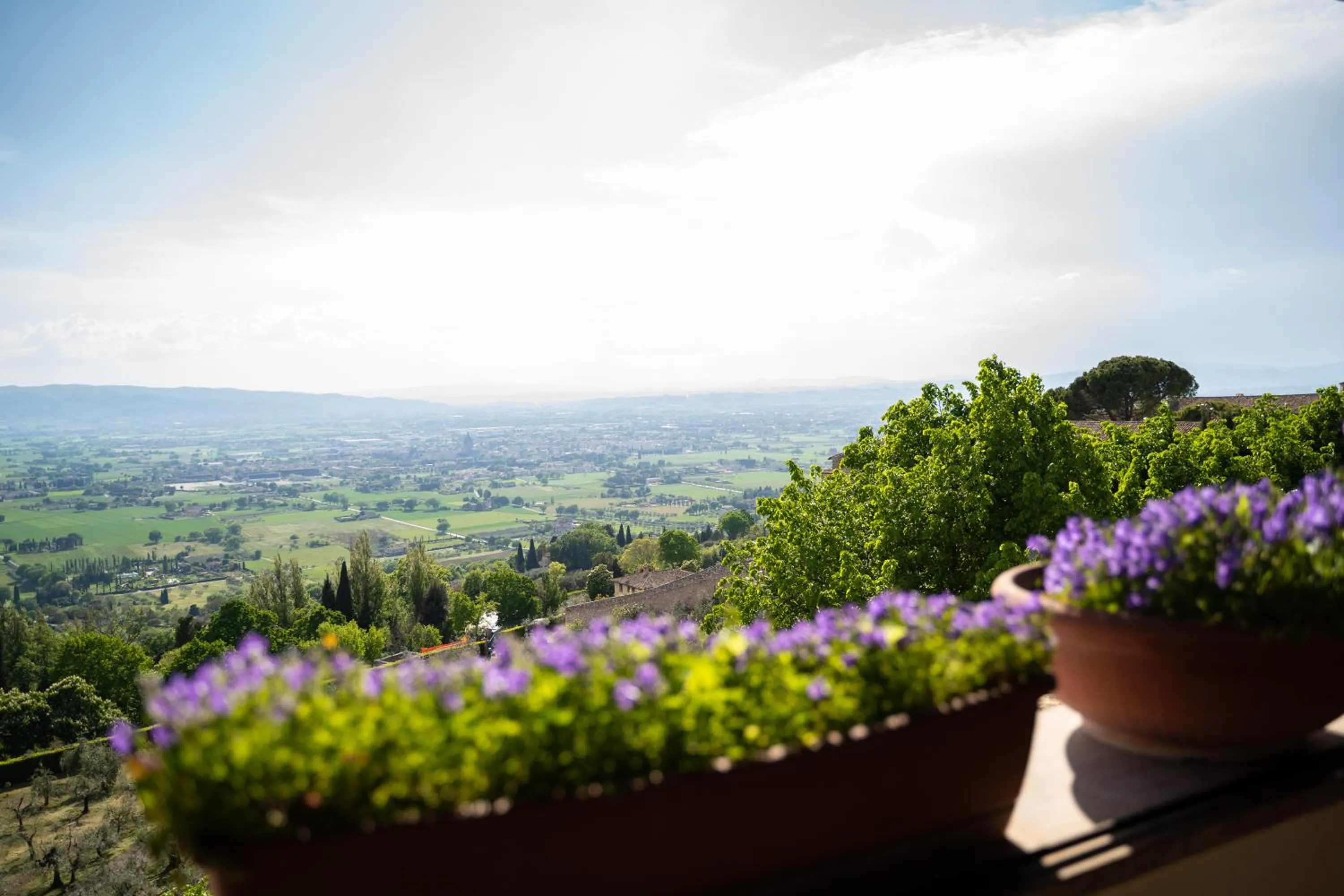 View (from property/room) in Hotel Belvedere
