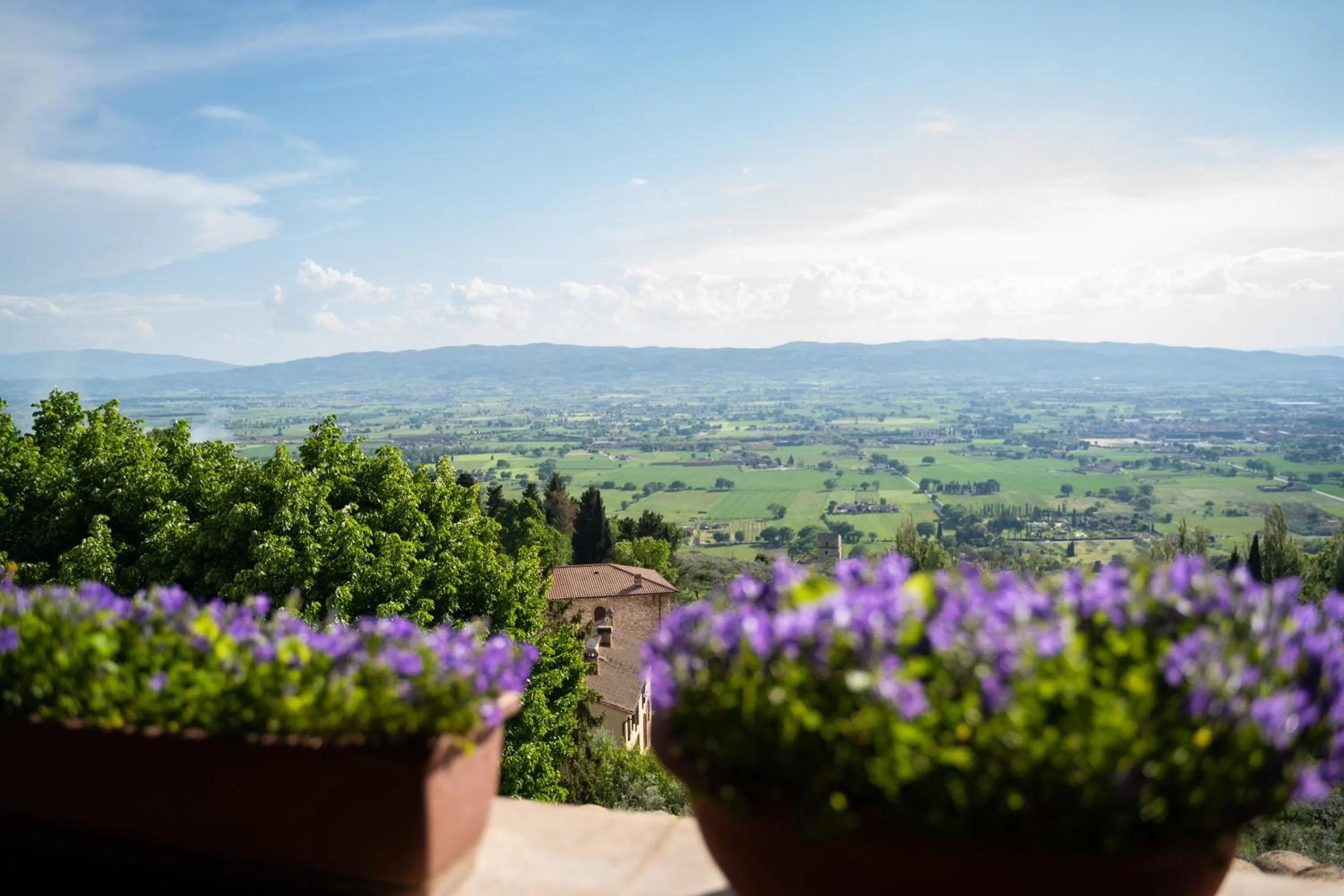 View (from property/room) in Hotel Belvedere