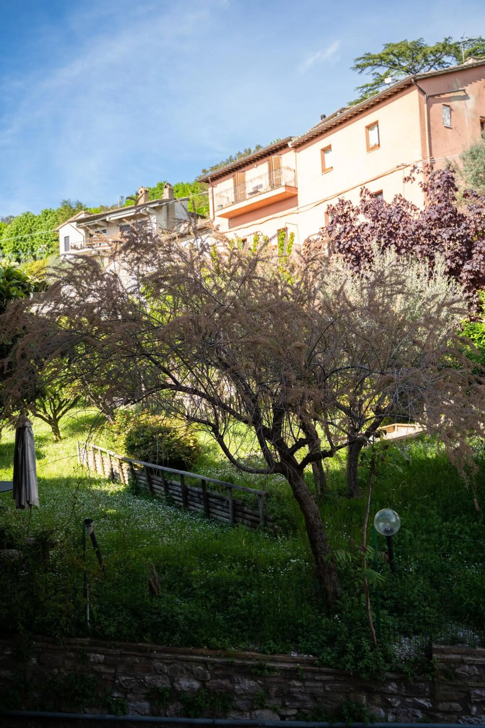 View (from property/room) in Hotel Belvedere