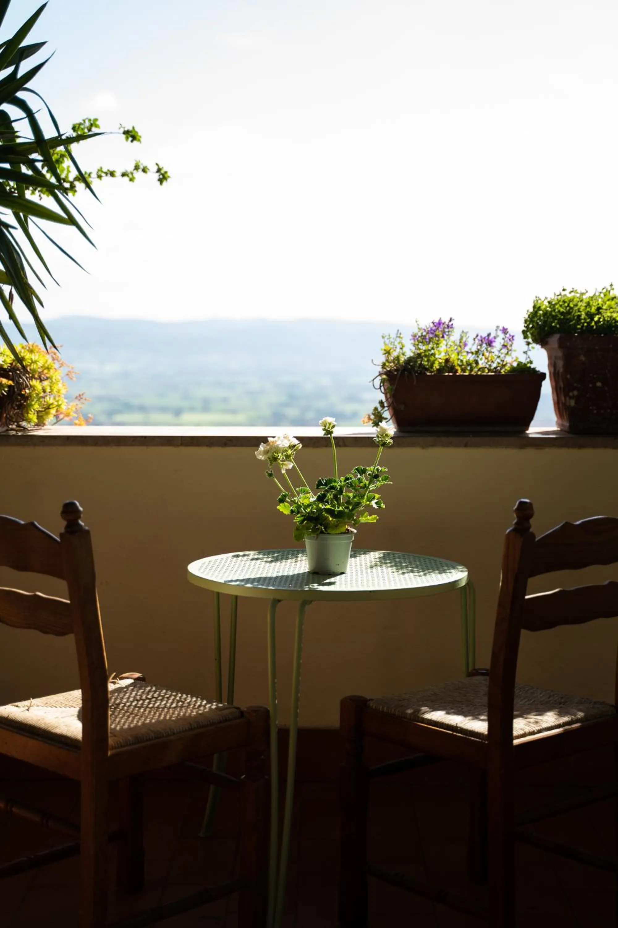 Balcony/Terrace in Hotel Belvedere