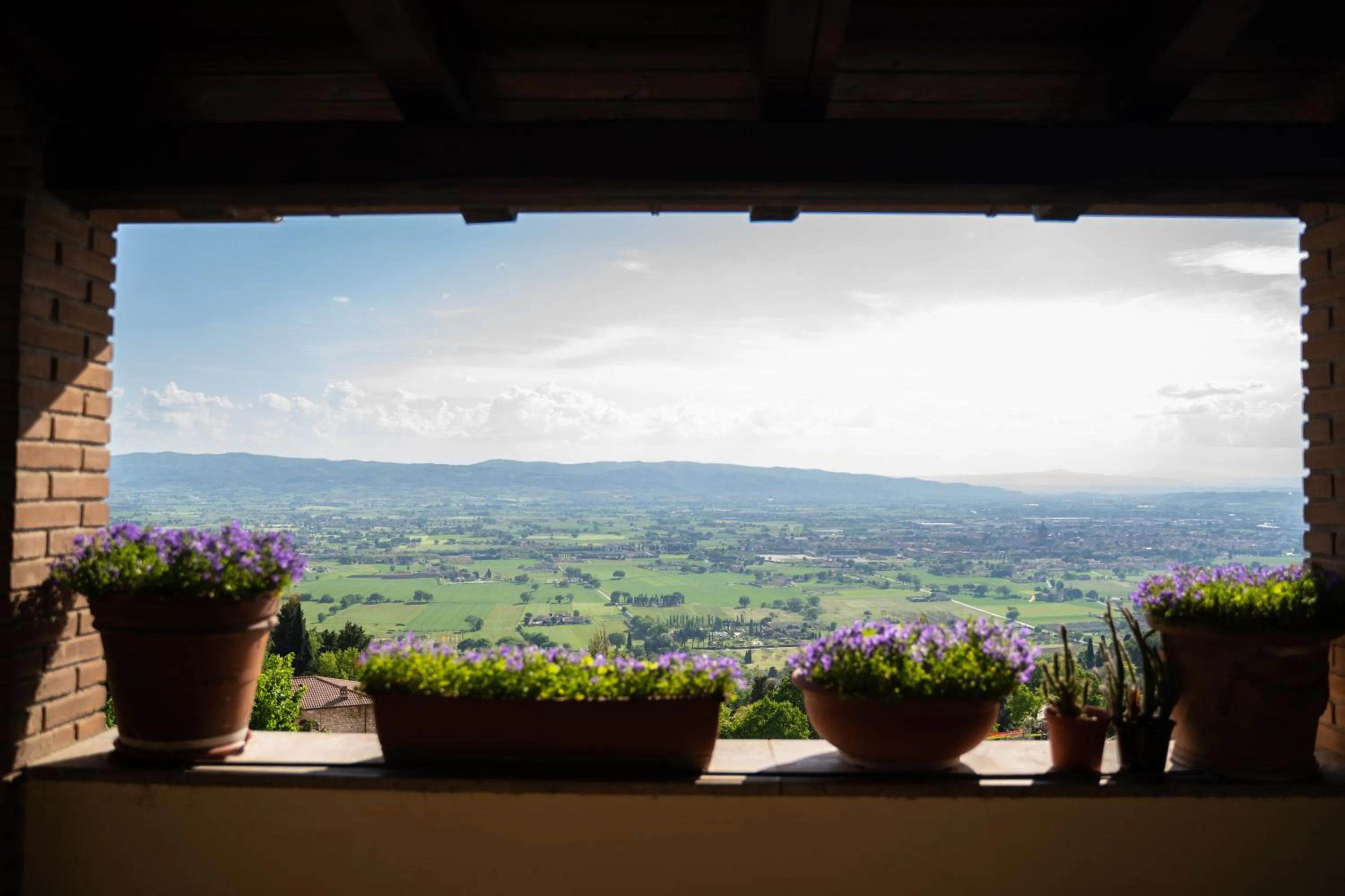 Balcony/Terrace in Hotel Belvedere