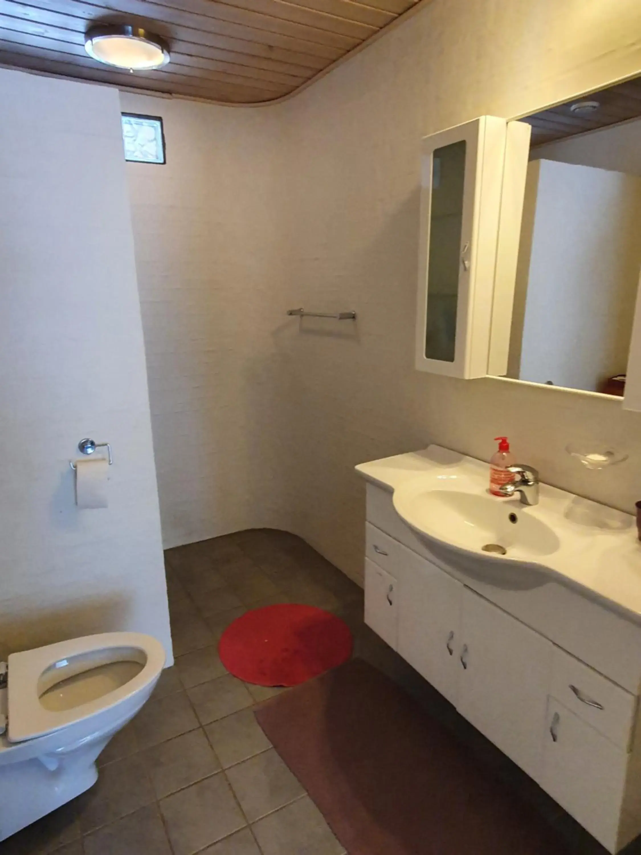 Double Room with Shared Bathroom in Holtegaard Bed & Breakfast Double Room with Shared Bathroom in Holtegaard Bed & Breakfast