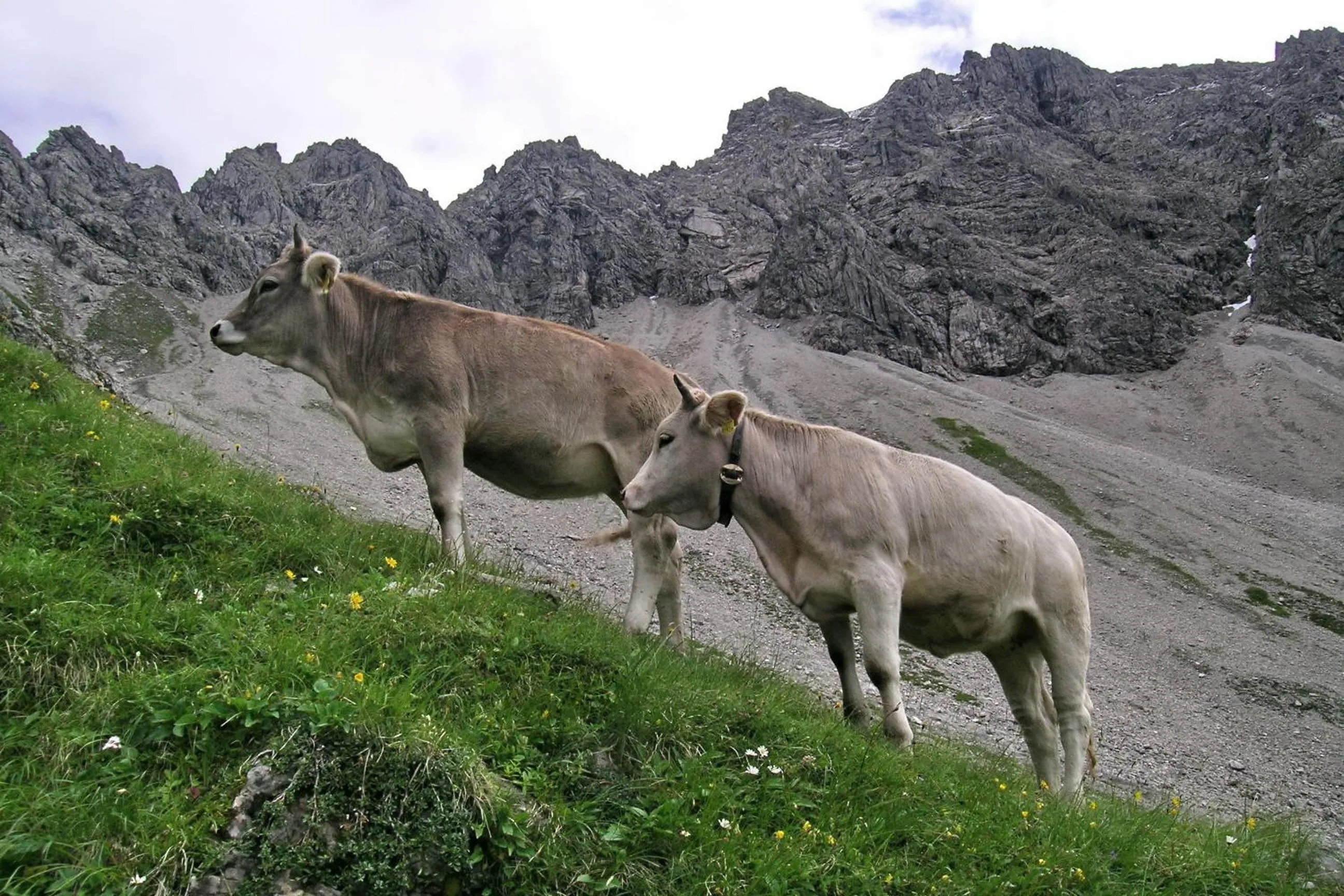 Other in Naturhotel Lärchenhof