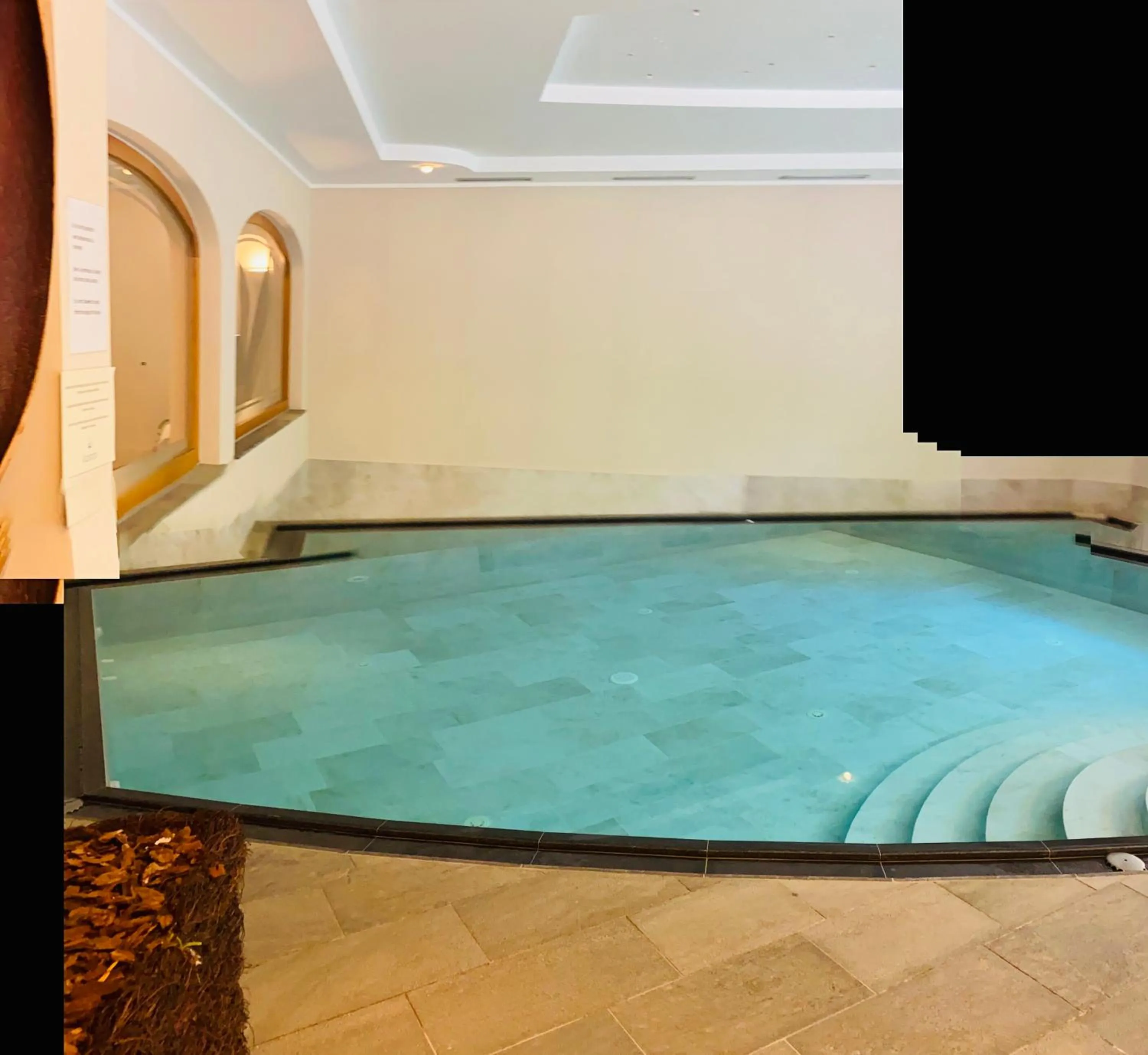 Swimming pool in Residence Hotel Alpinum