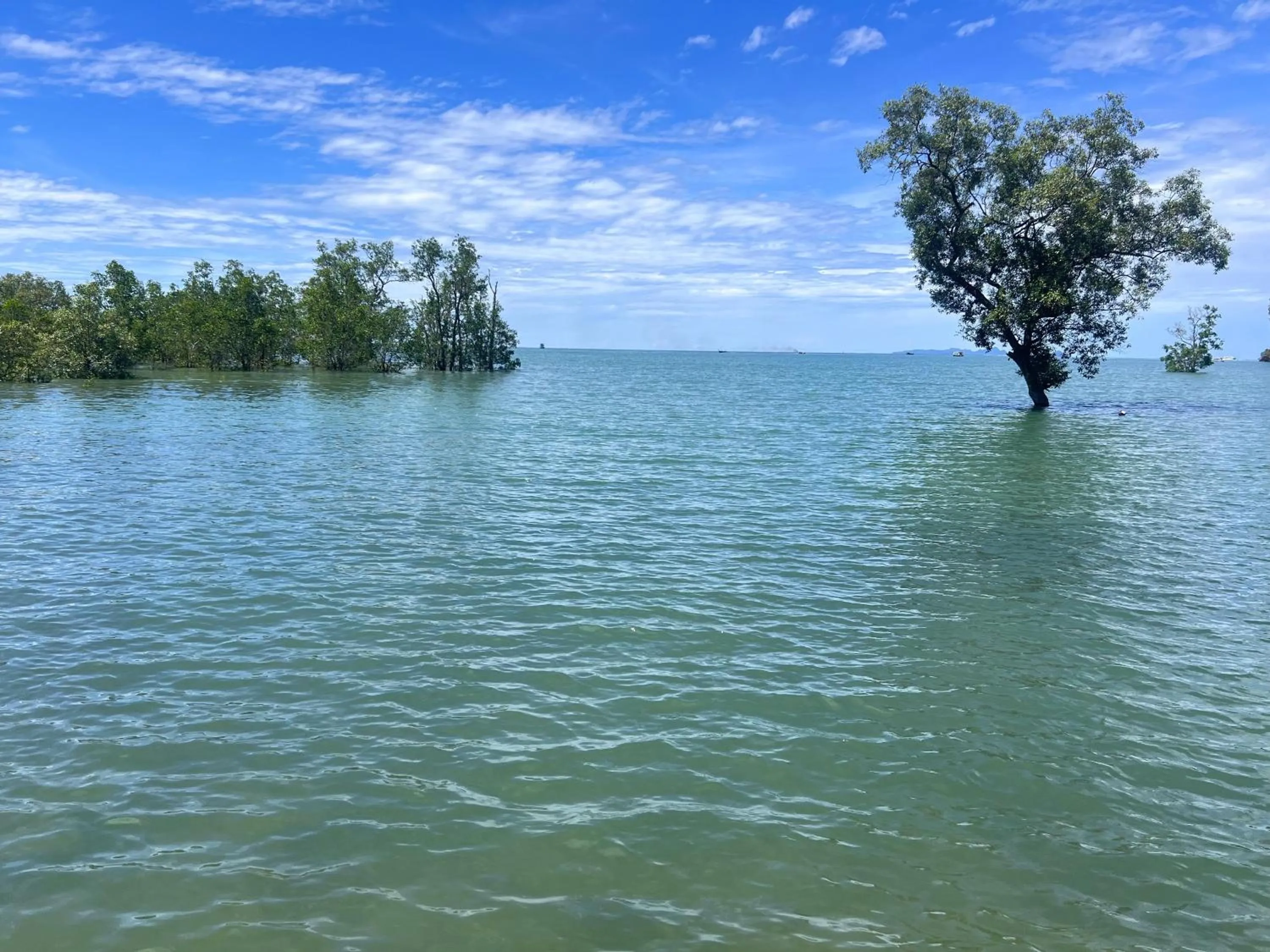 Natural landscape in Diamond Beach Resort