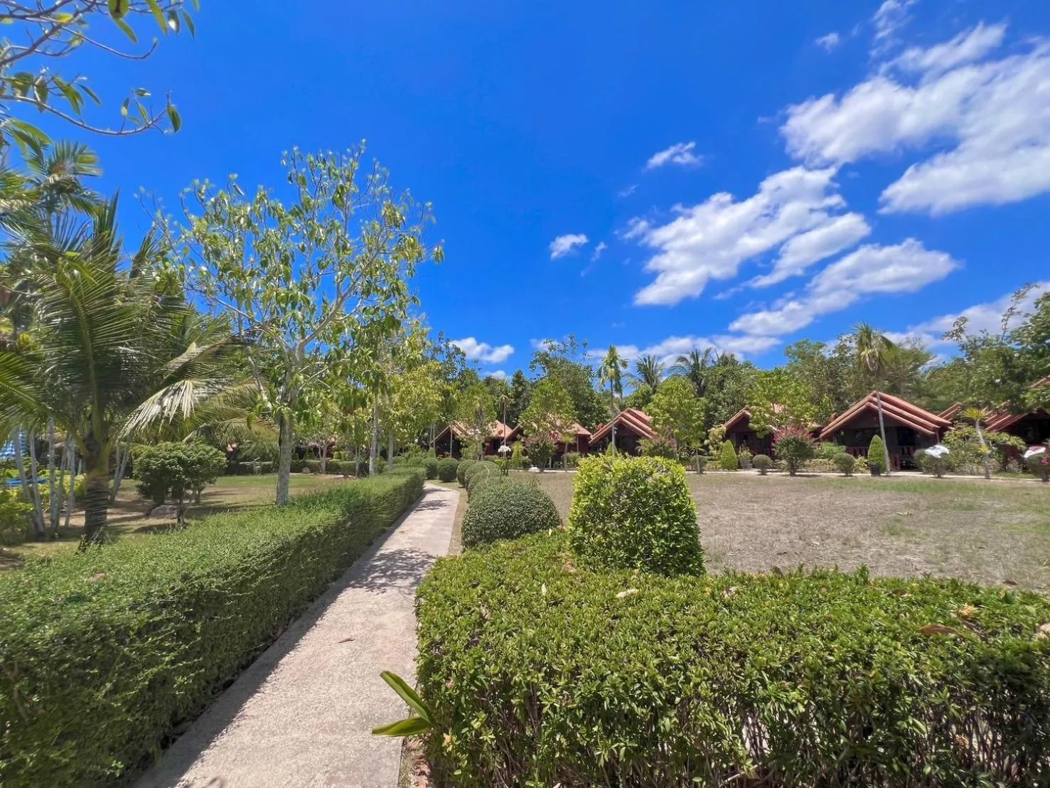 Natural landscape in Diamond Beach Resort