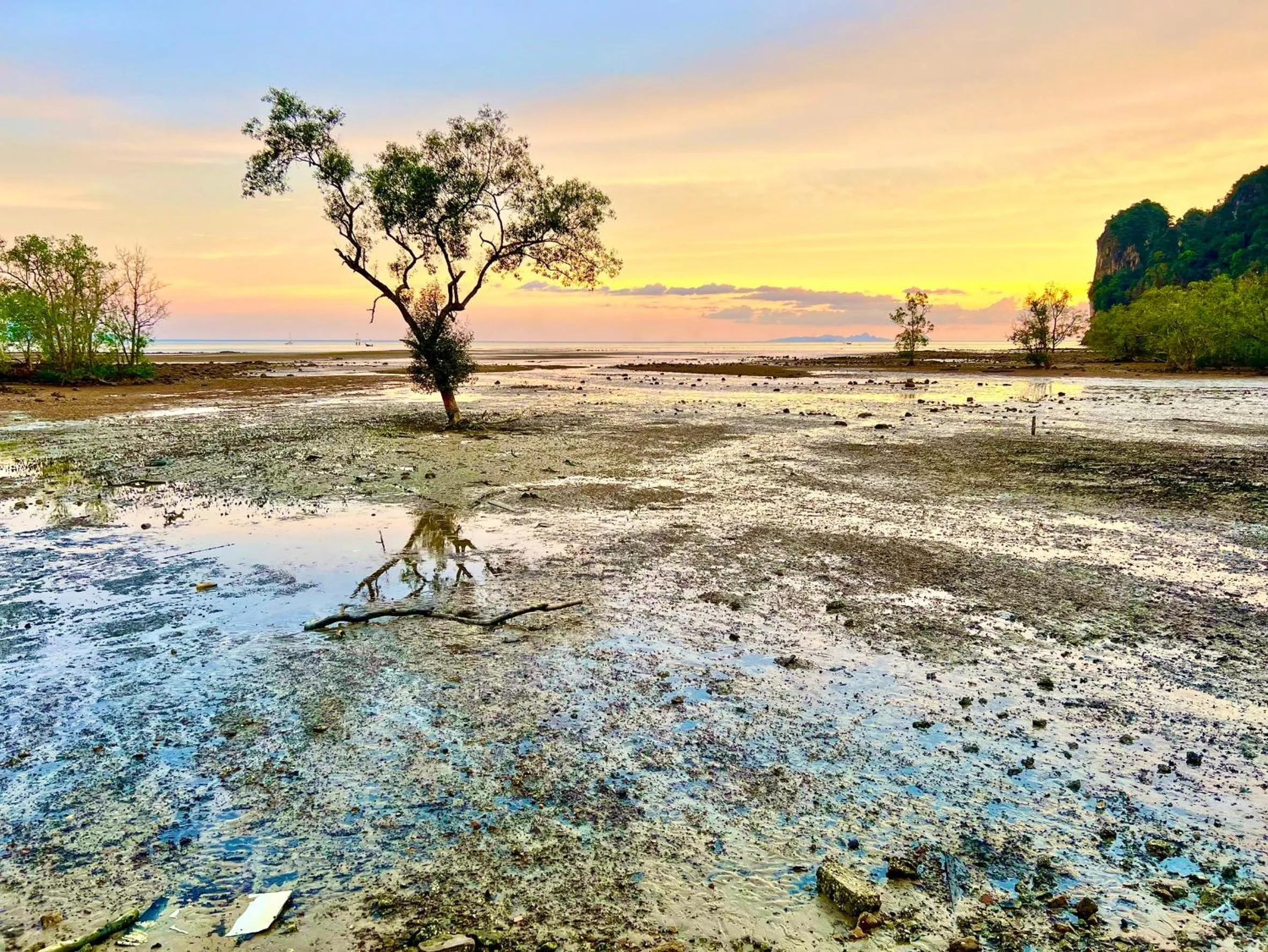 Natural landscape in Diamond Beach Resort
