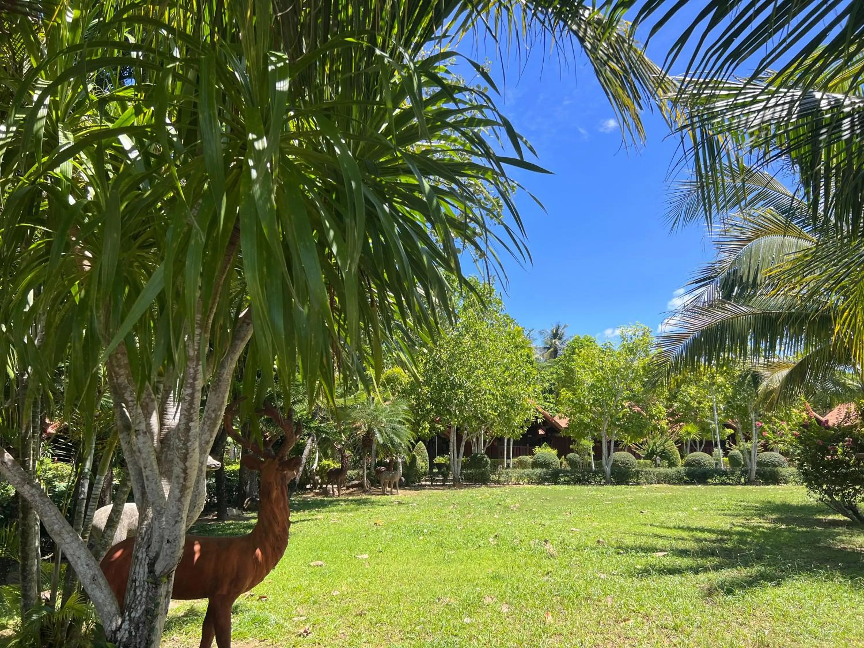 Natural landscape in Diamond Beach Resort