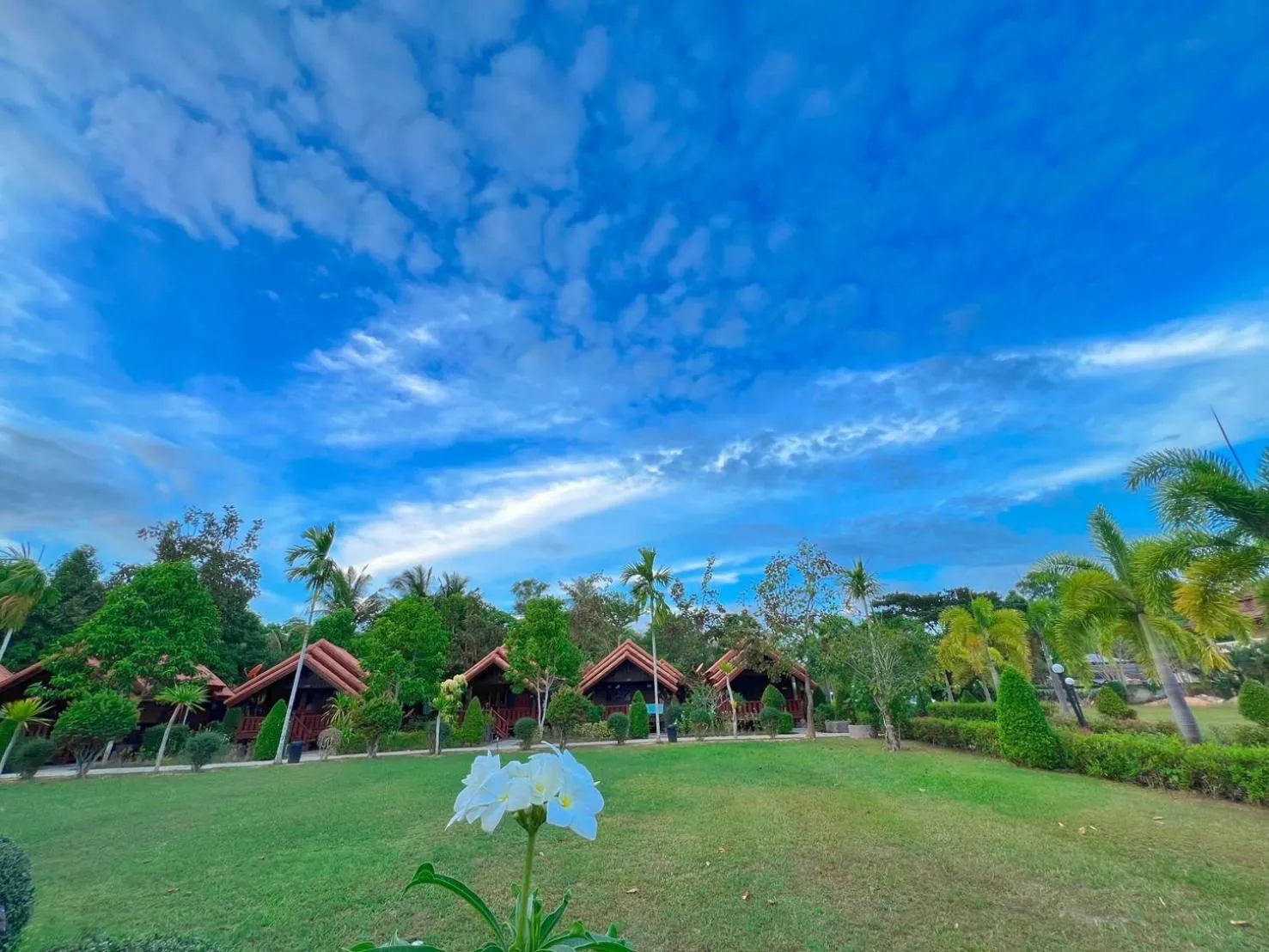 Garden in Diamond Beach Resort