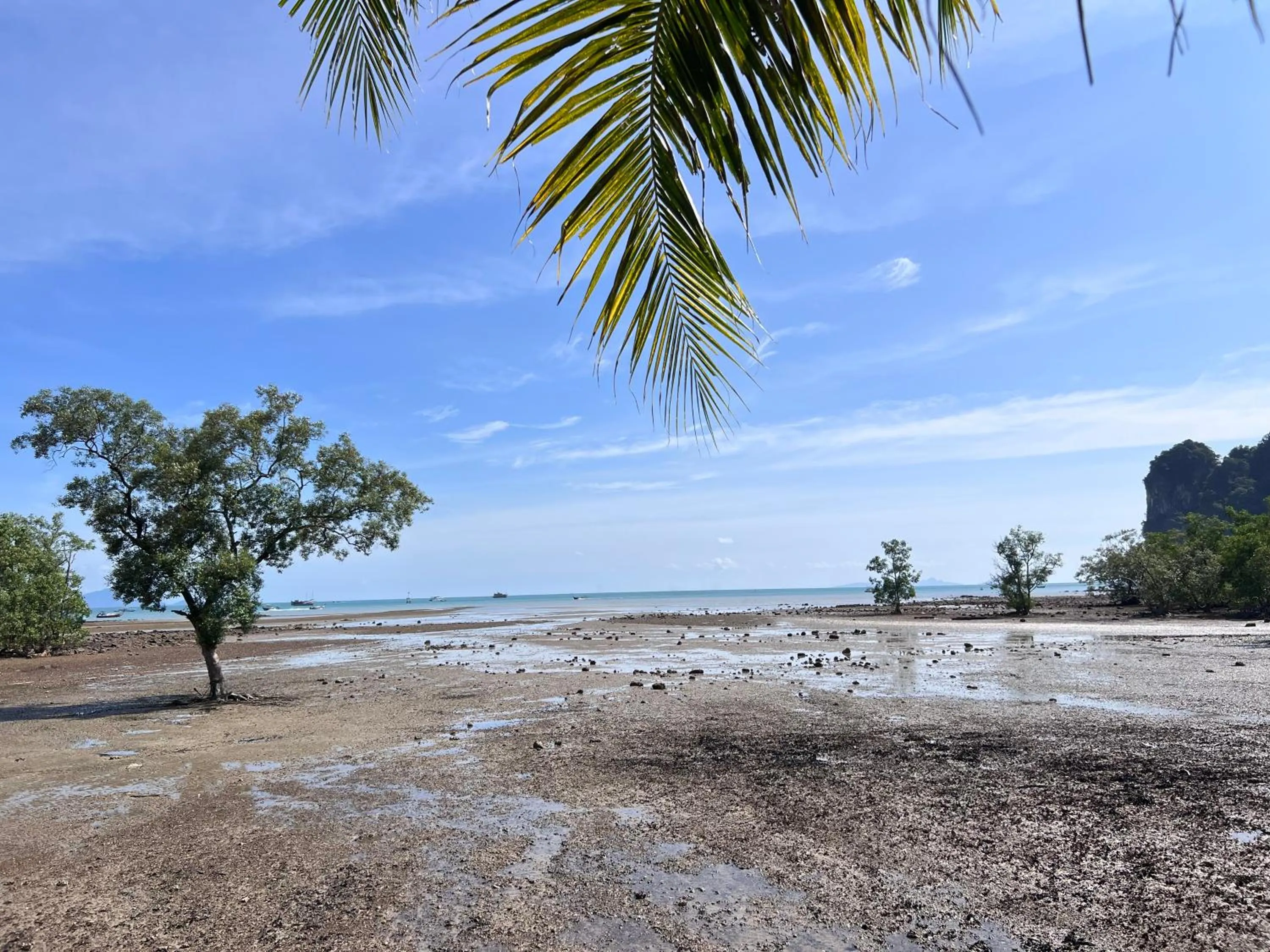 Natural landscape in Diamond Beach Resort