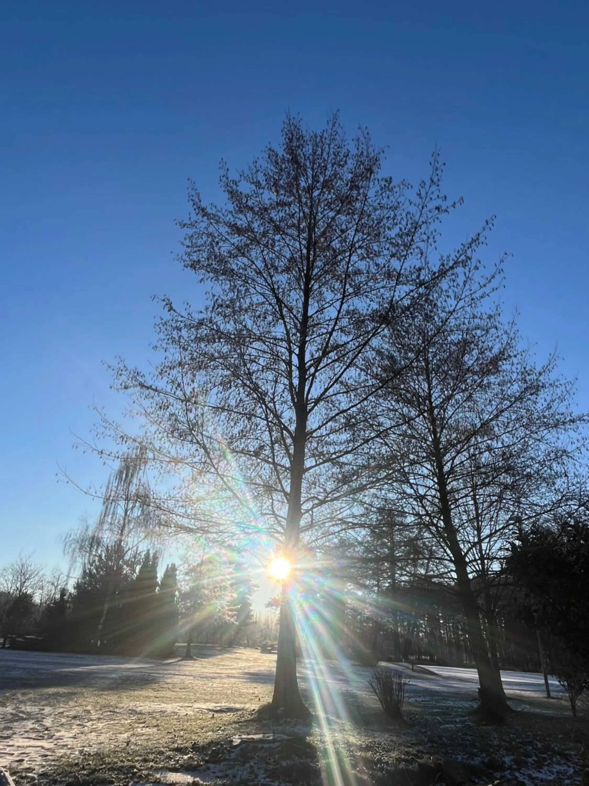 Garden in Wellness hotel Spark