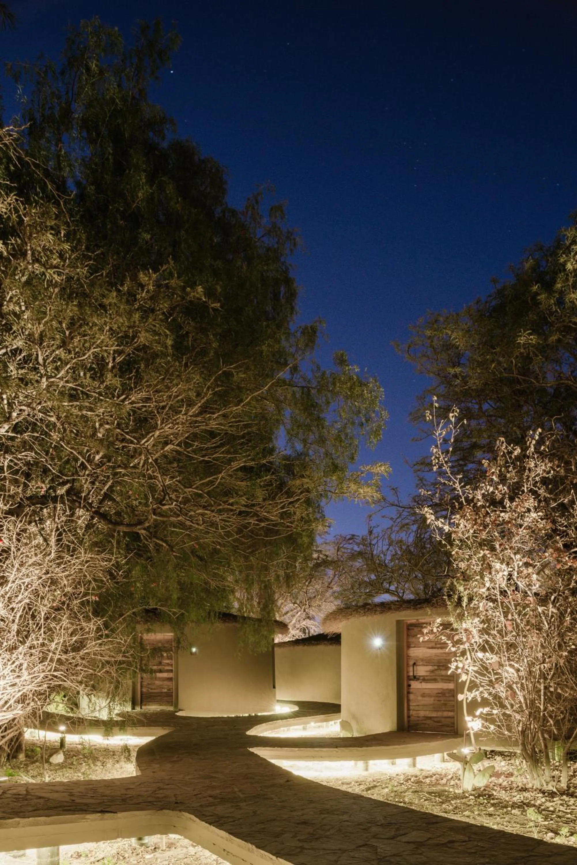 Garden in Hotel Desertica