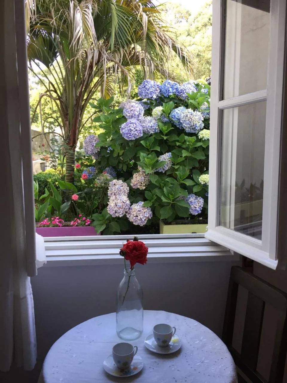 Patio in Hostel das Flores