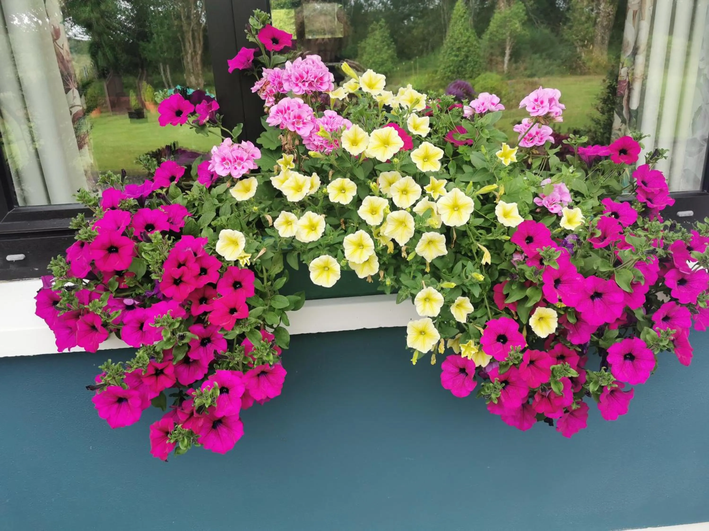 The Ferris Wheel B&B