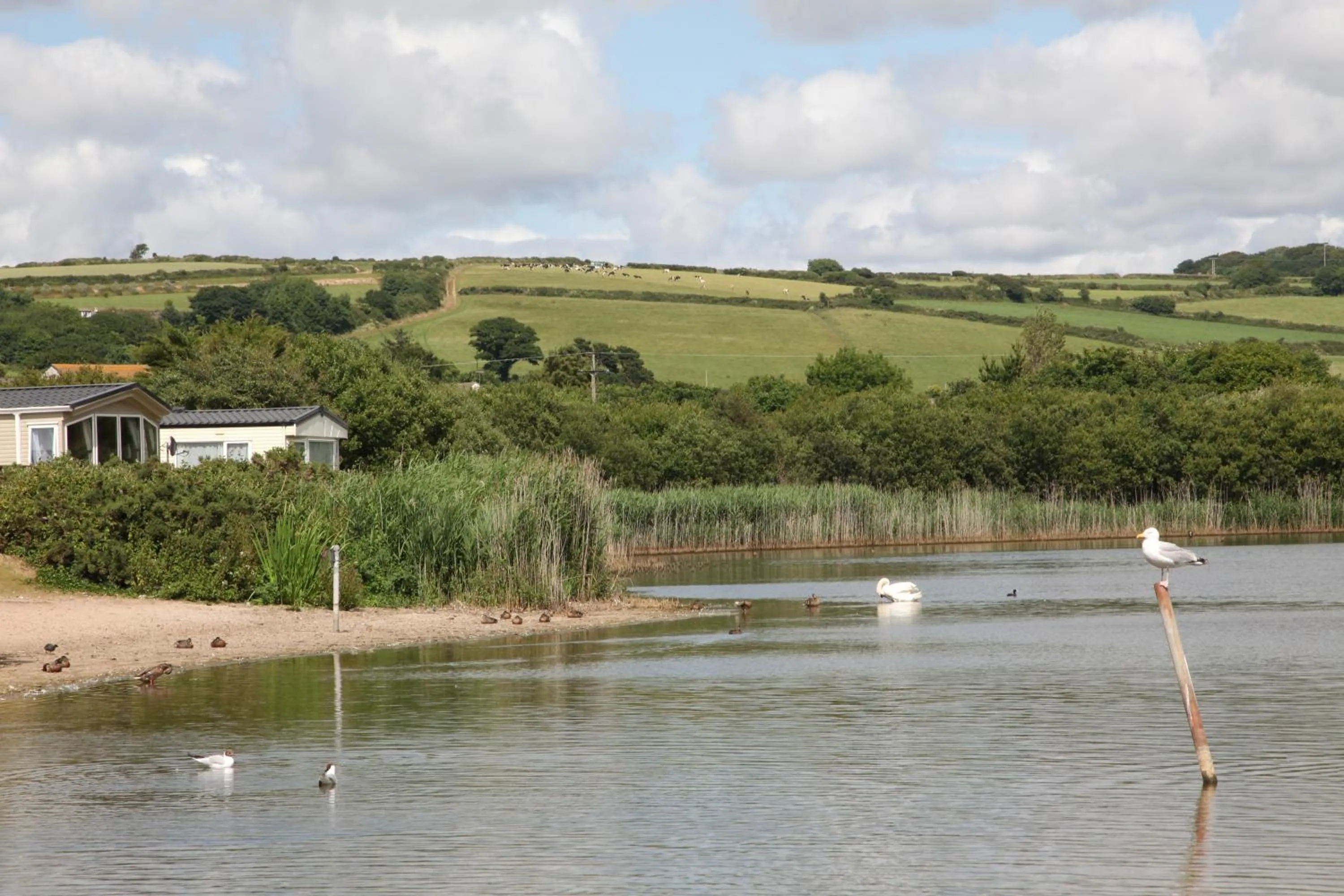 Natural landscape in Par Sands Coastal Holiday park