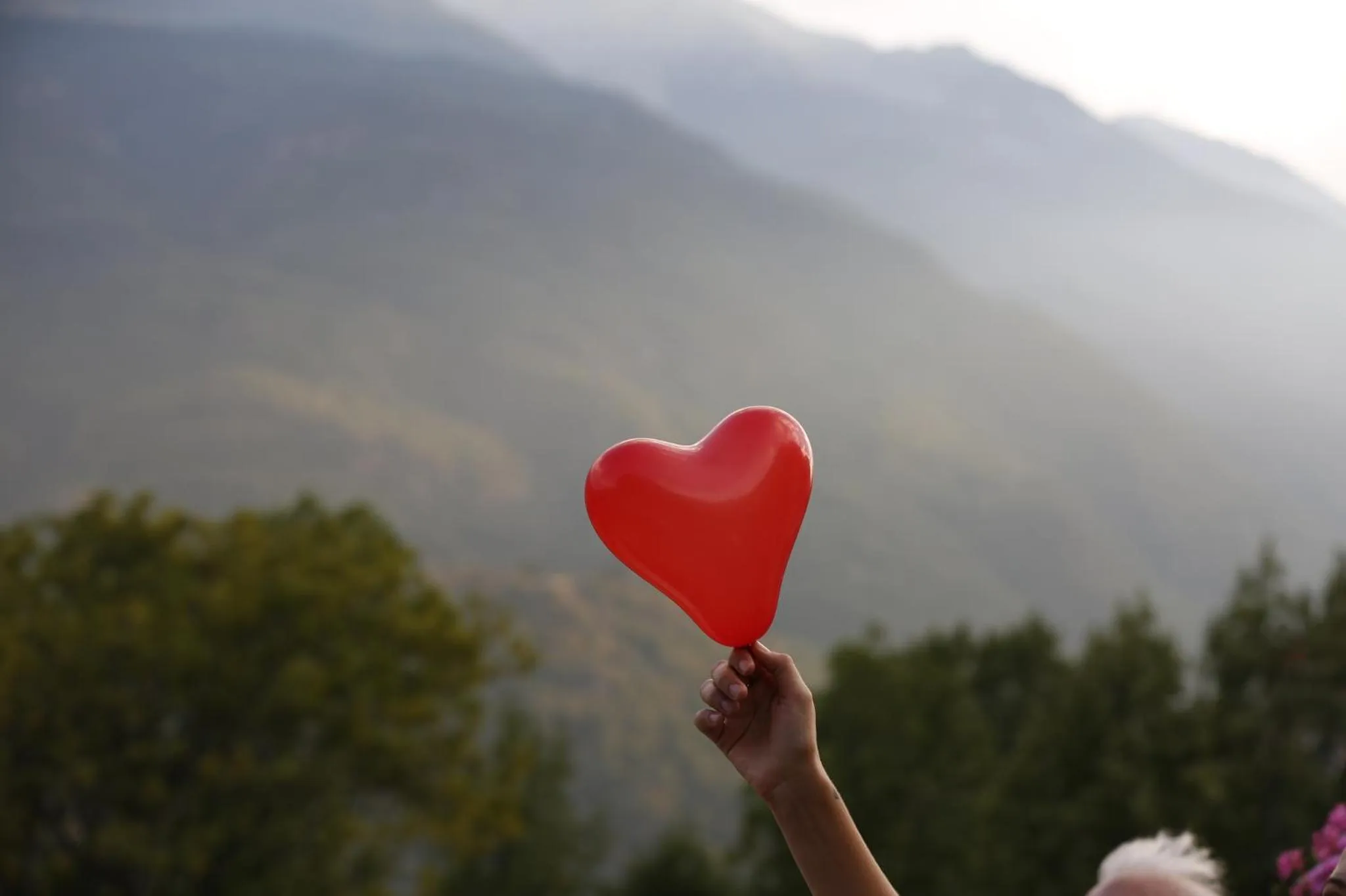 Activities in Paradise Hotel & Wellness