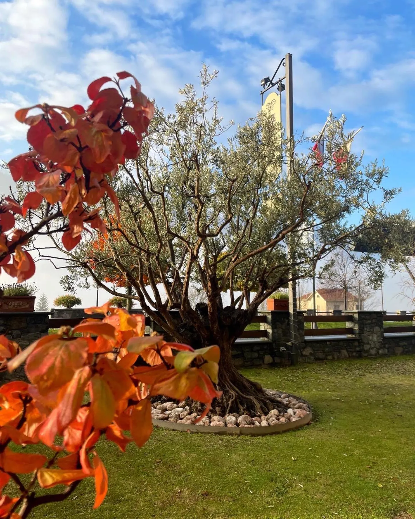 Garden view in Paradise Hotel & Wellness
