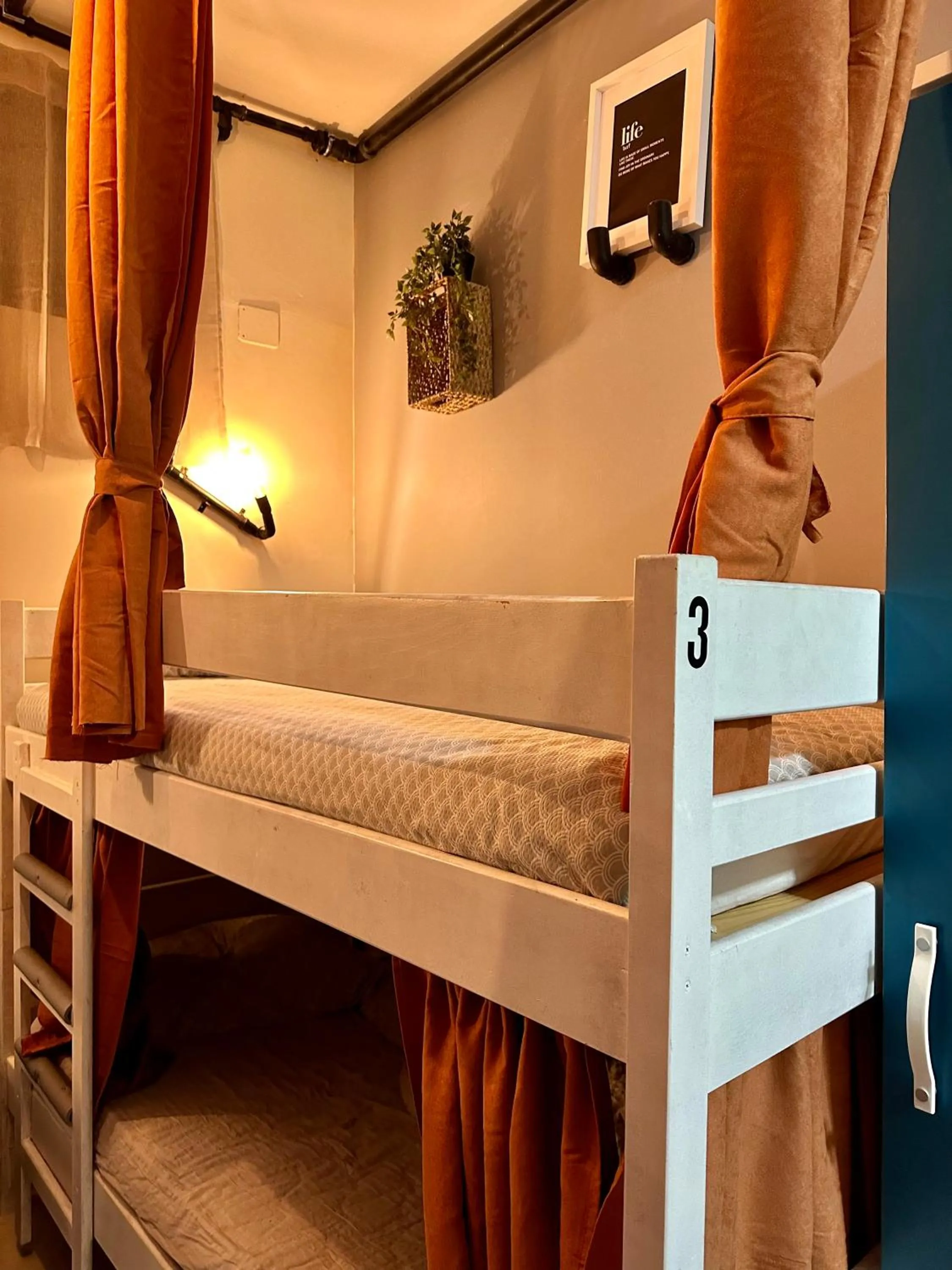 bunk bed, Bed in Hostel Pipištrelo