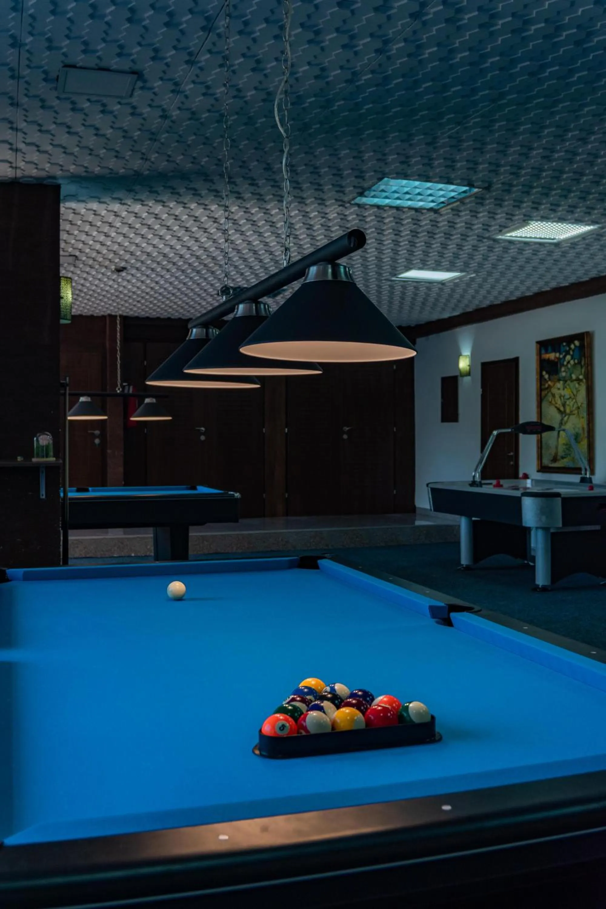 Game Room in Hotel Montana SPA