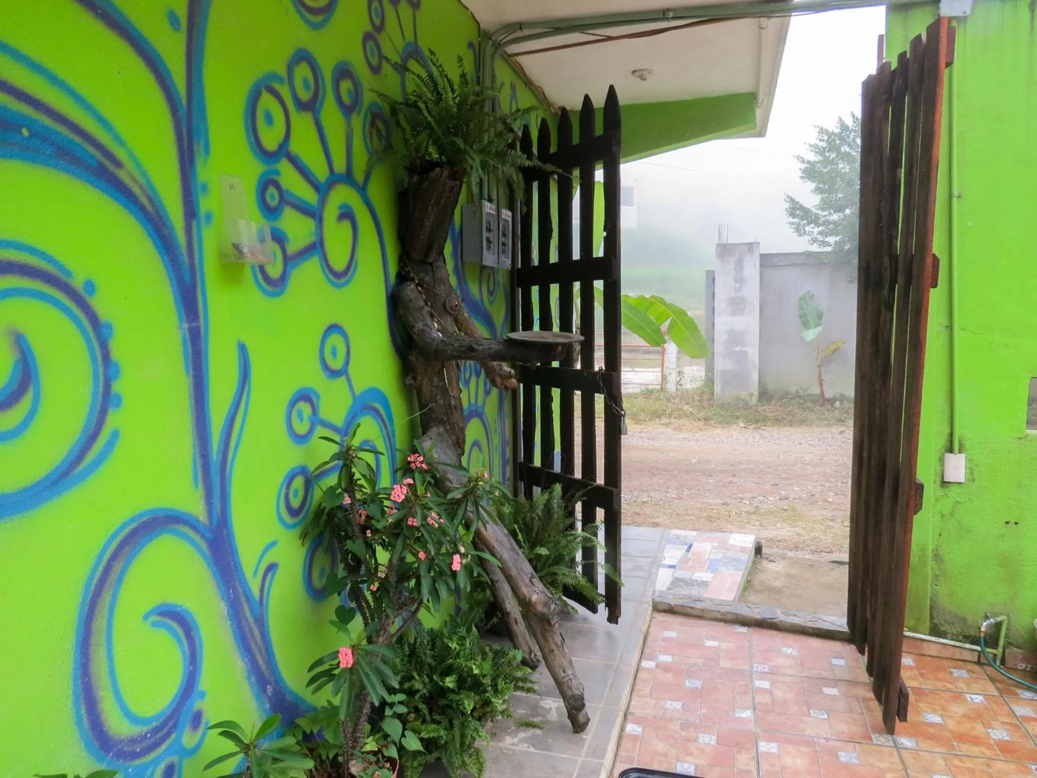 Property building in Casa Verde Xilitla By Rotamundos