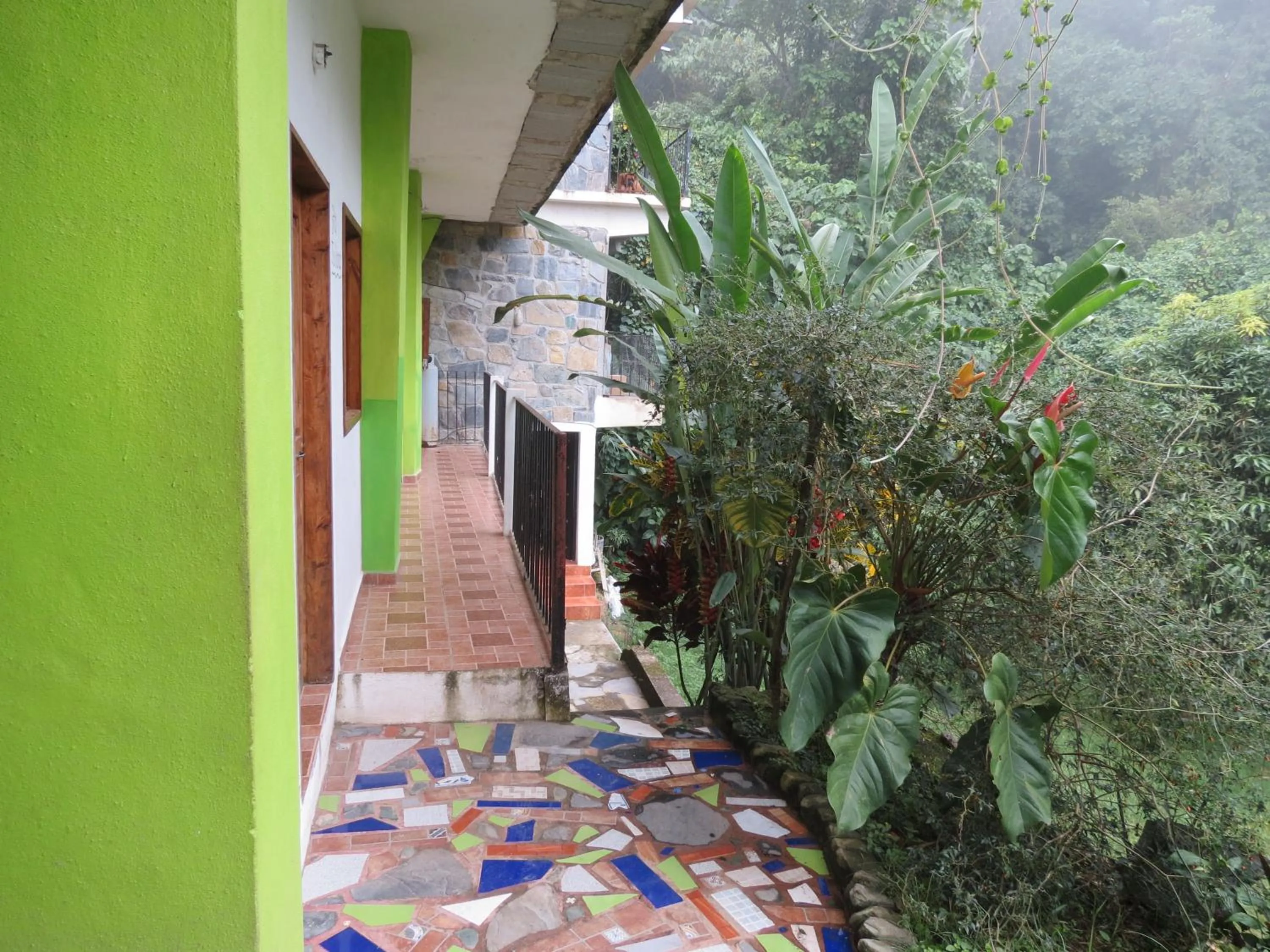 Patio in Casa Verde Xilitla By Rotamundos