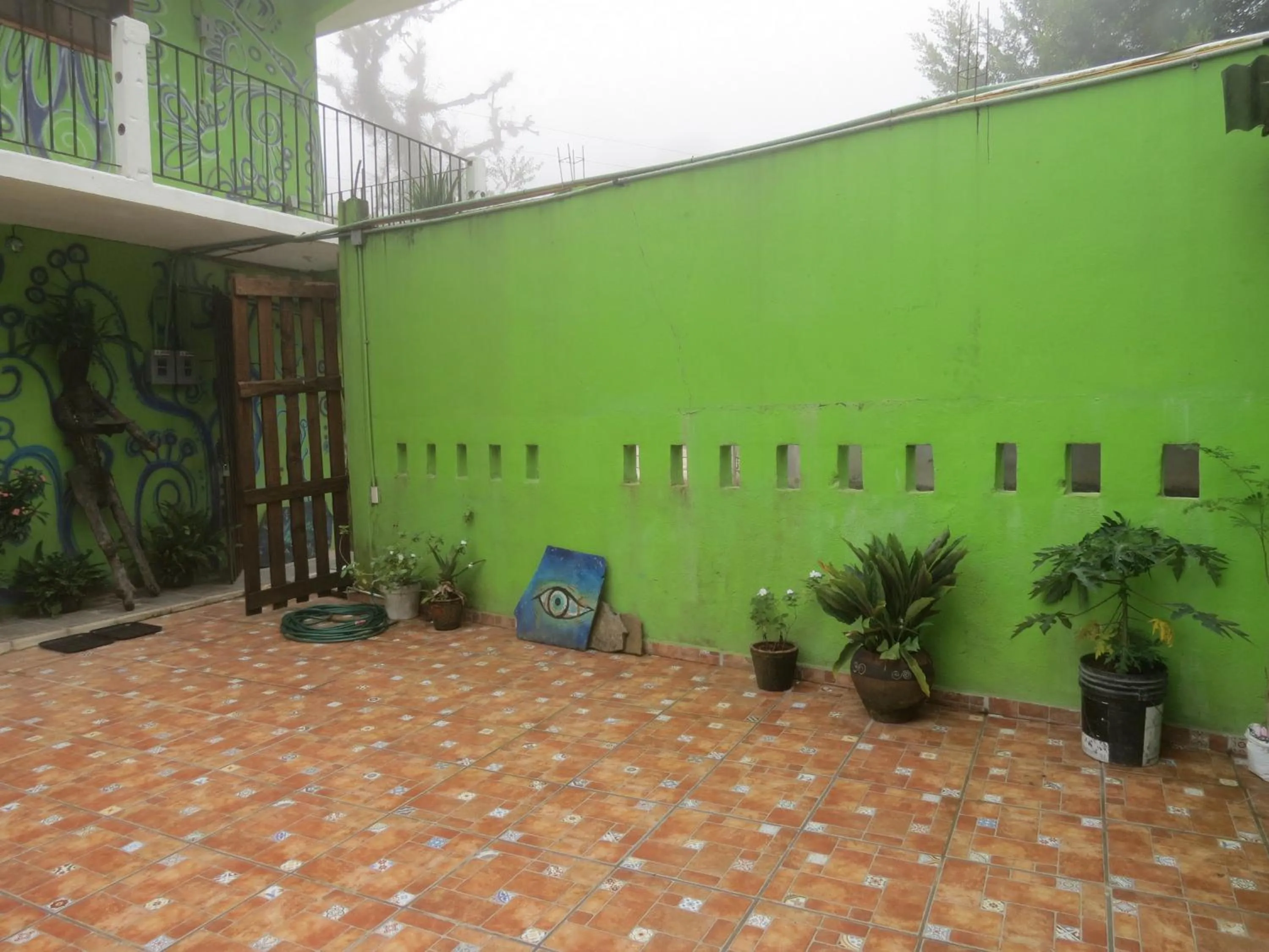 Patio in Casa Verde Xilitla By Rotamundos